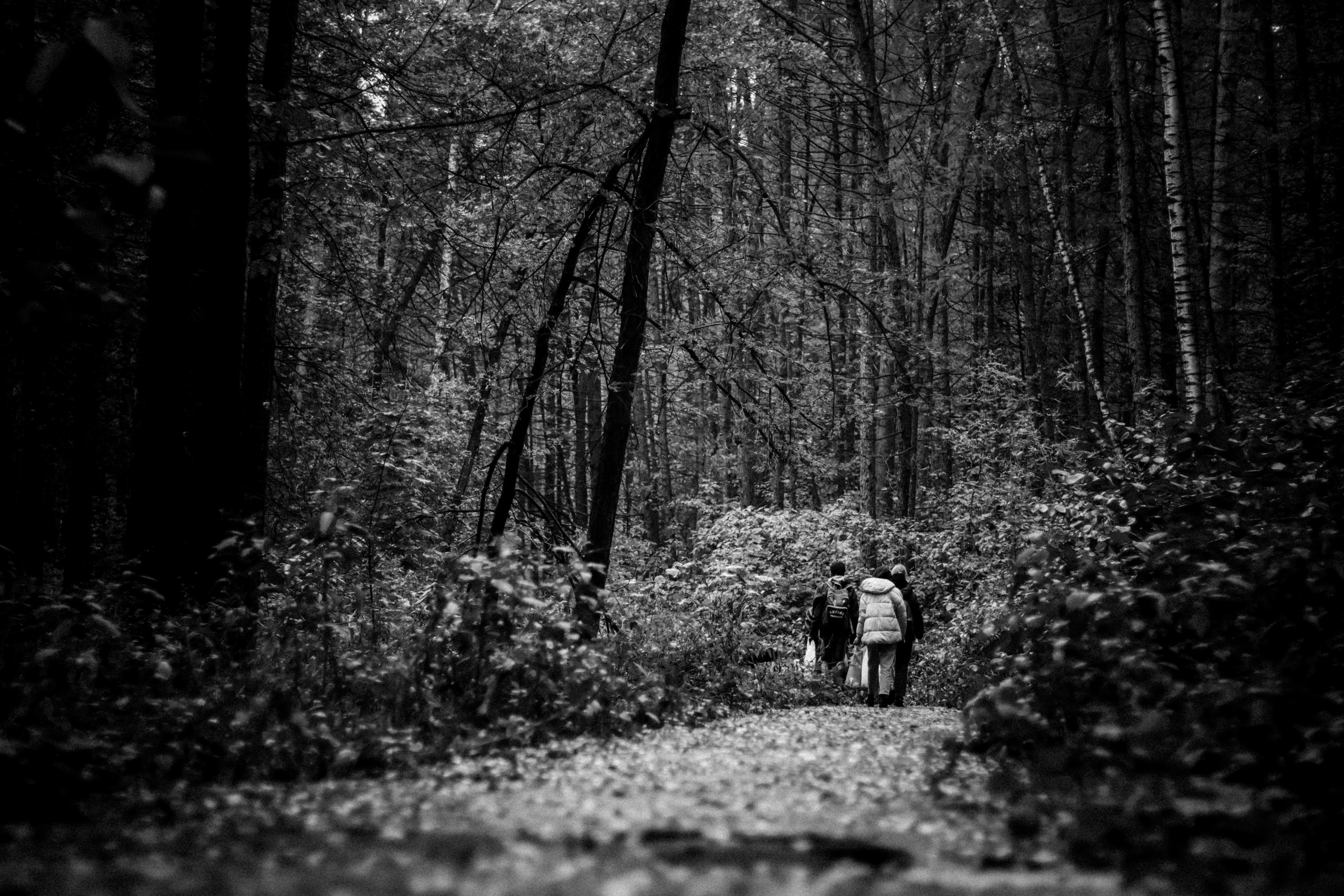Cleaning the forest with Arshak Makichyan, September 2021. Photographer in Israel Alice Milchin