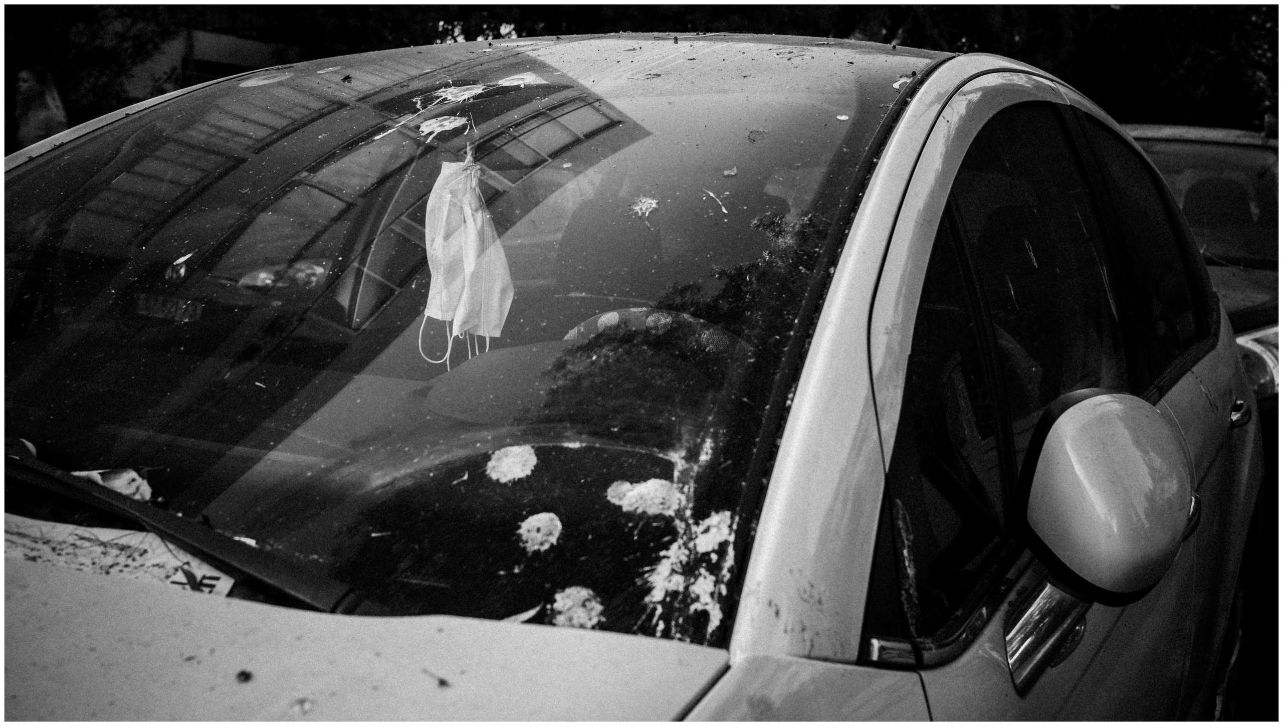 Summer in Israel, 2022. Photographer in Israel Alice Milchin