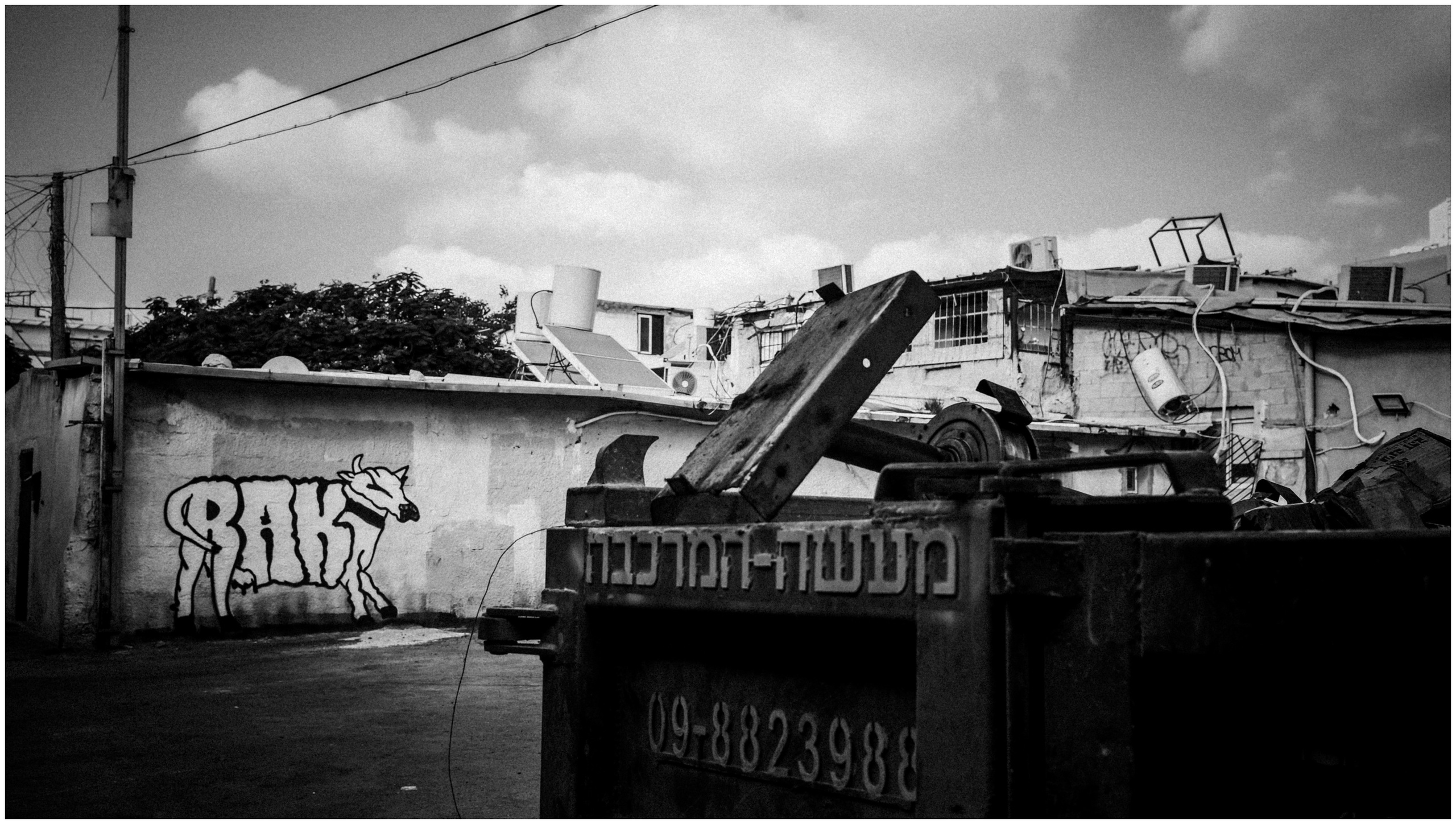 Summer in Israel, 2022. Photographer in Israel Alice Milchin