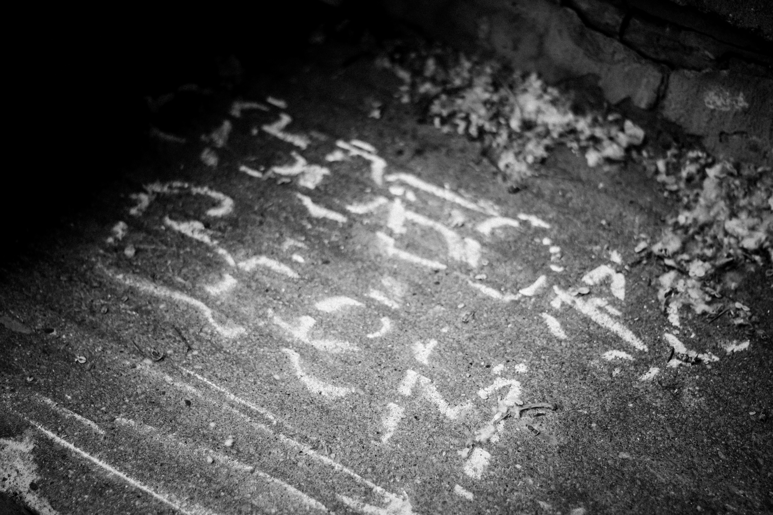 DOXA: Basmanny court, June 9th 2021. Photographer in Israel Alice Milchin