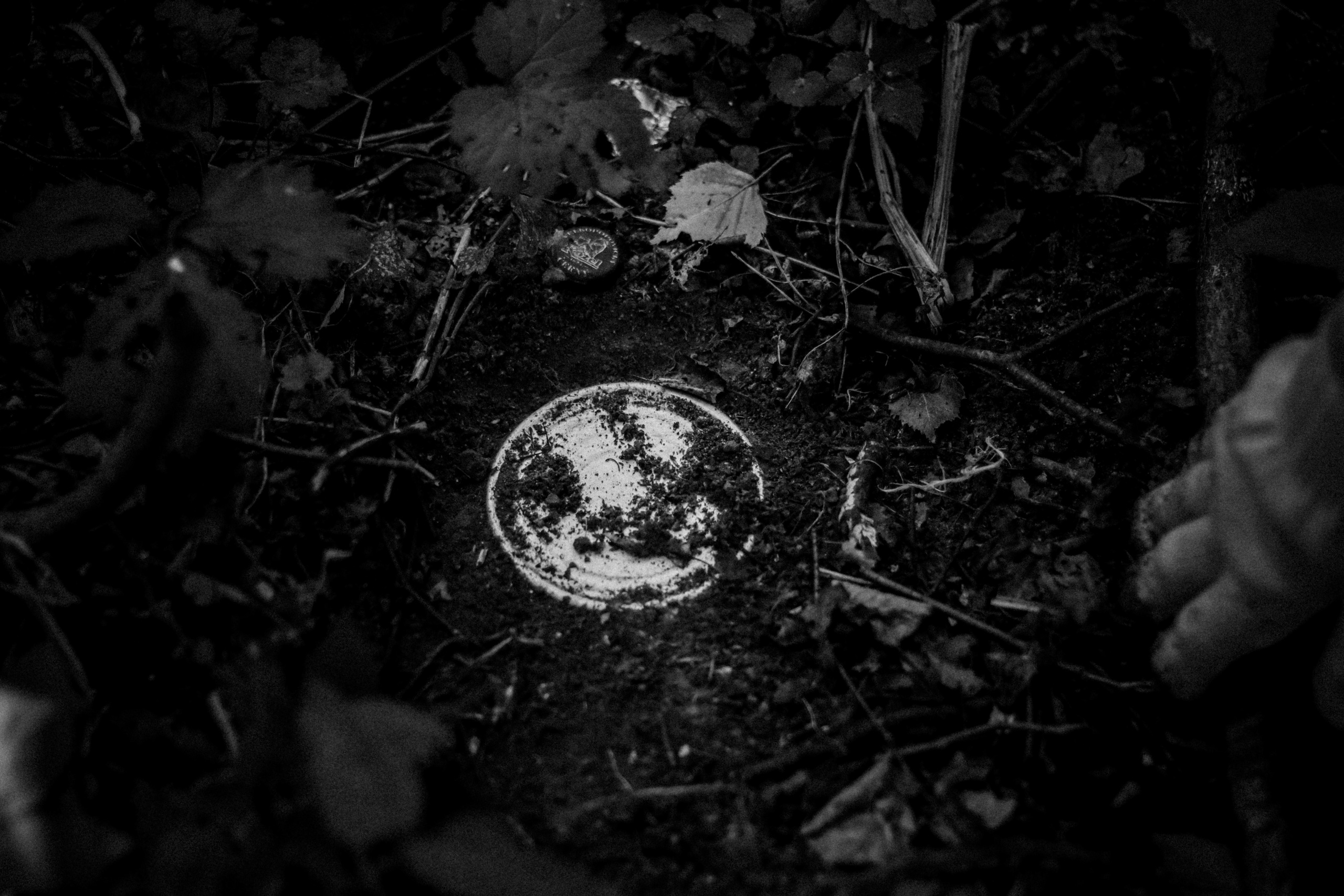 Cleaning the forest with Arshak Makichyan and Tasha Tale, August 2021. Photographer in Israel Alice Milchin