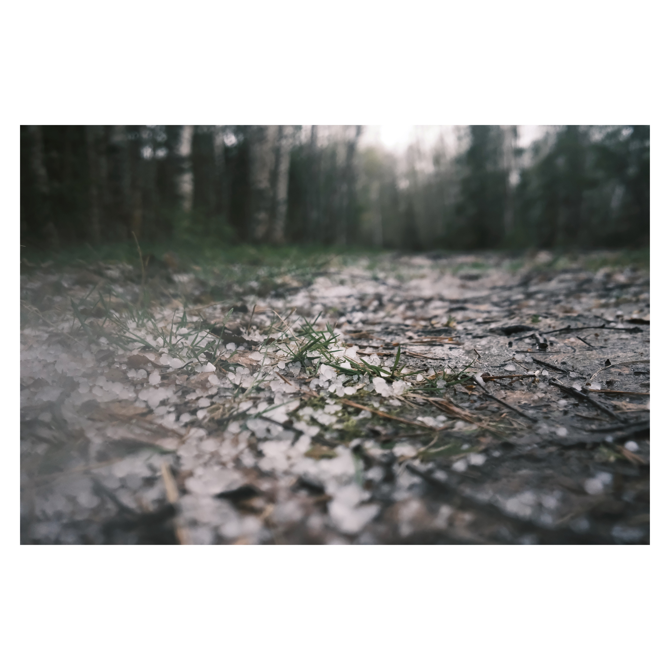 DMITLAG: Memorial, May-June 2022. Photographer in Israel Alice Milchin