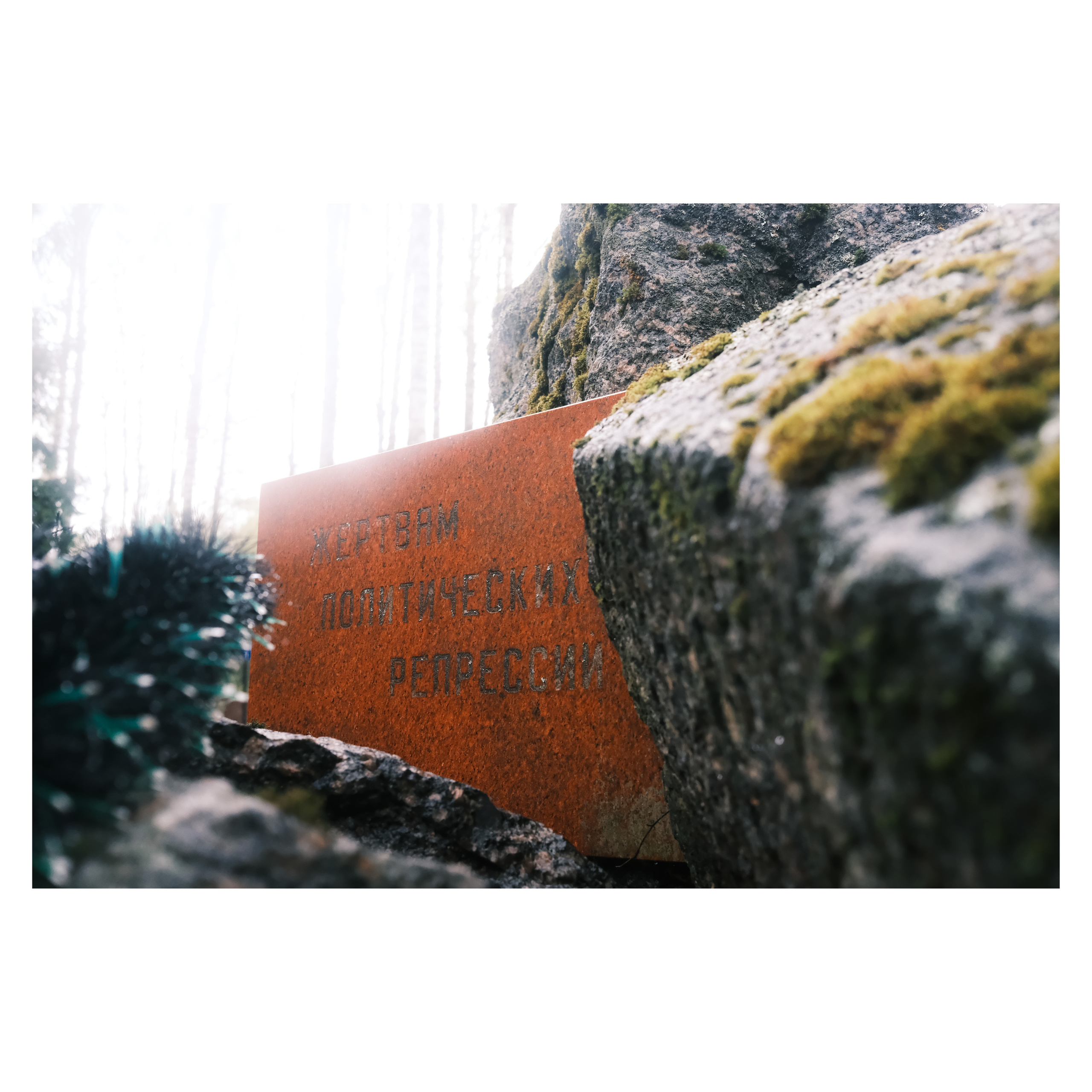 DMITLAG: Memorial, May-June 2022. Photographer in Israel Alice Milchin