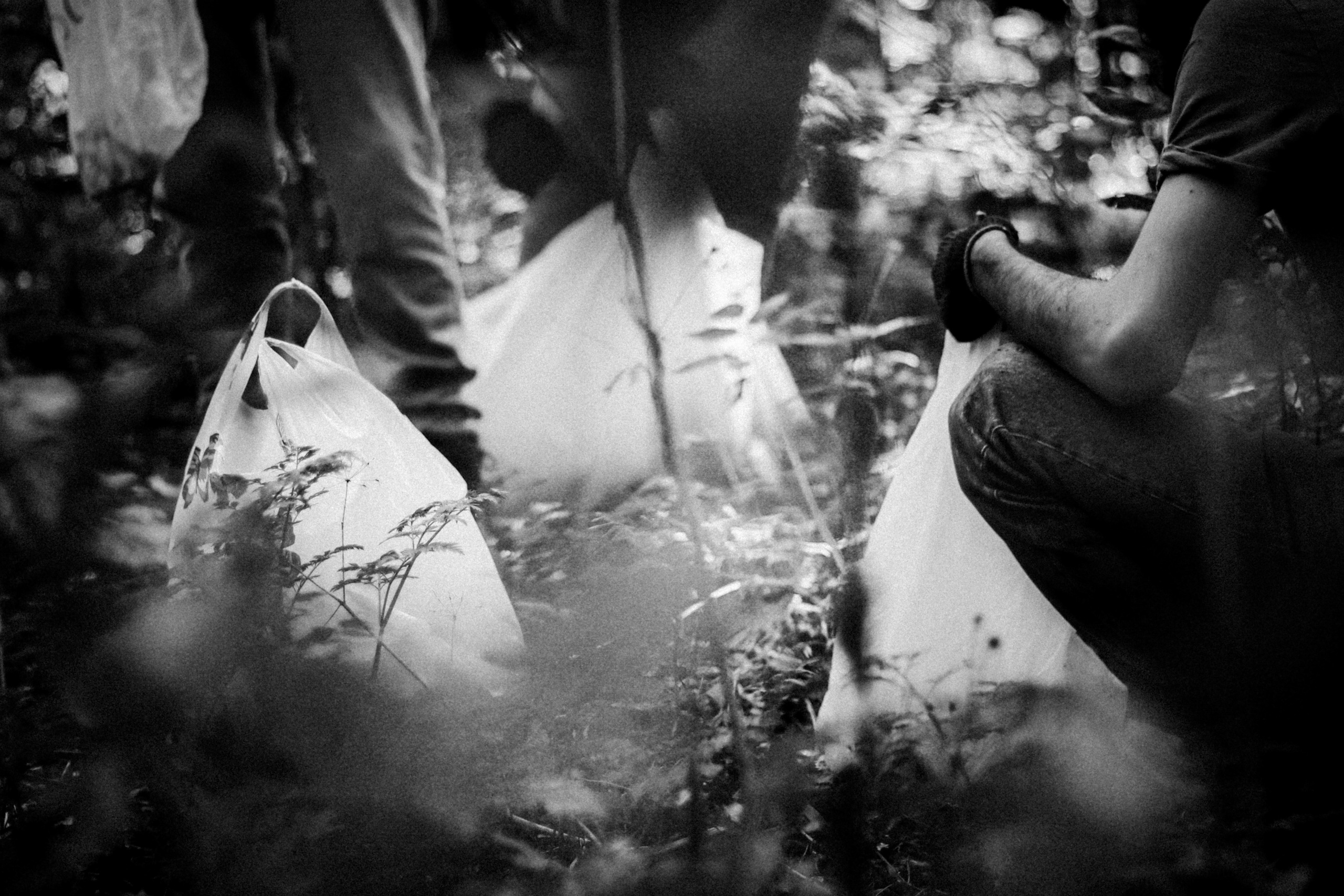Cleaning the forest with Arshak Makichyan and Tasha Tale, August 2021. Photographer in Israel Alice Milchin