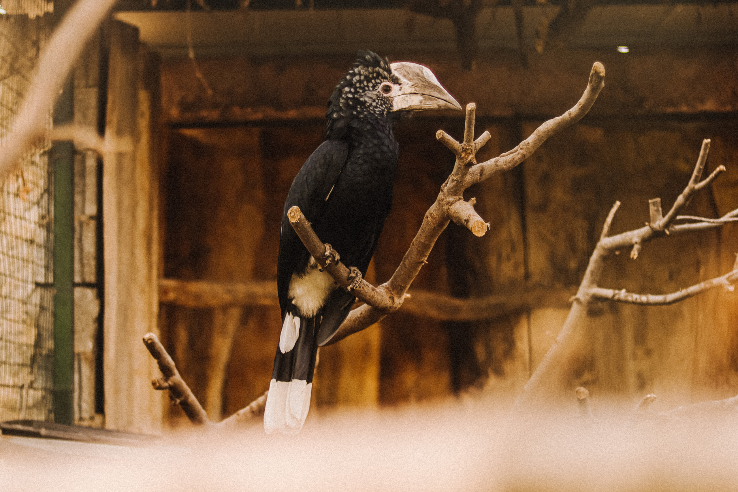 Attica Zoo, Greece, November 2021. Photographer in Israel Alice Milchin