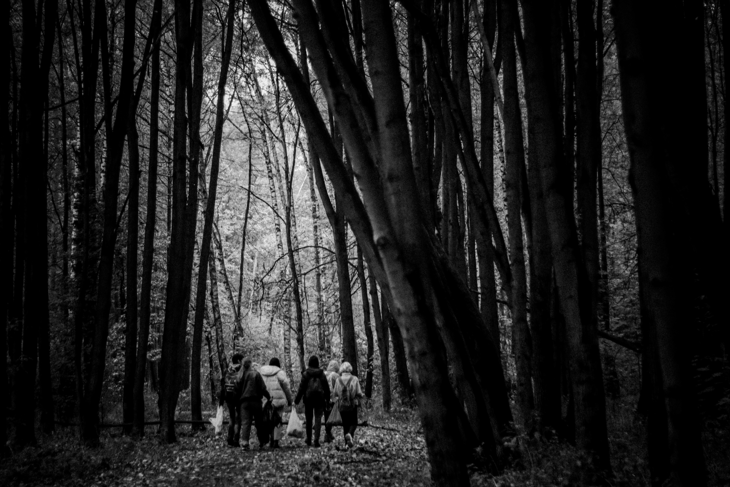 Cleaning the forest with Arshak Makichyan, September 2021. Photographer in Israel Alice Milchin