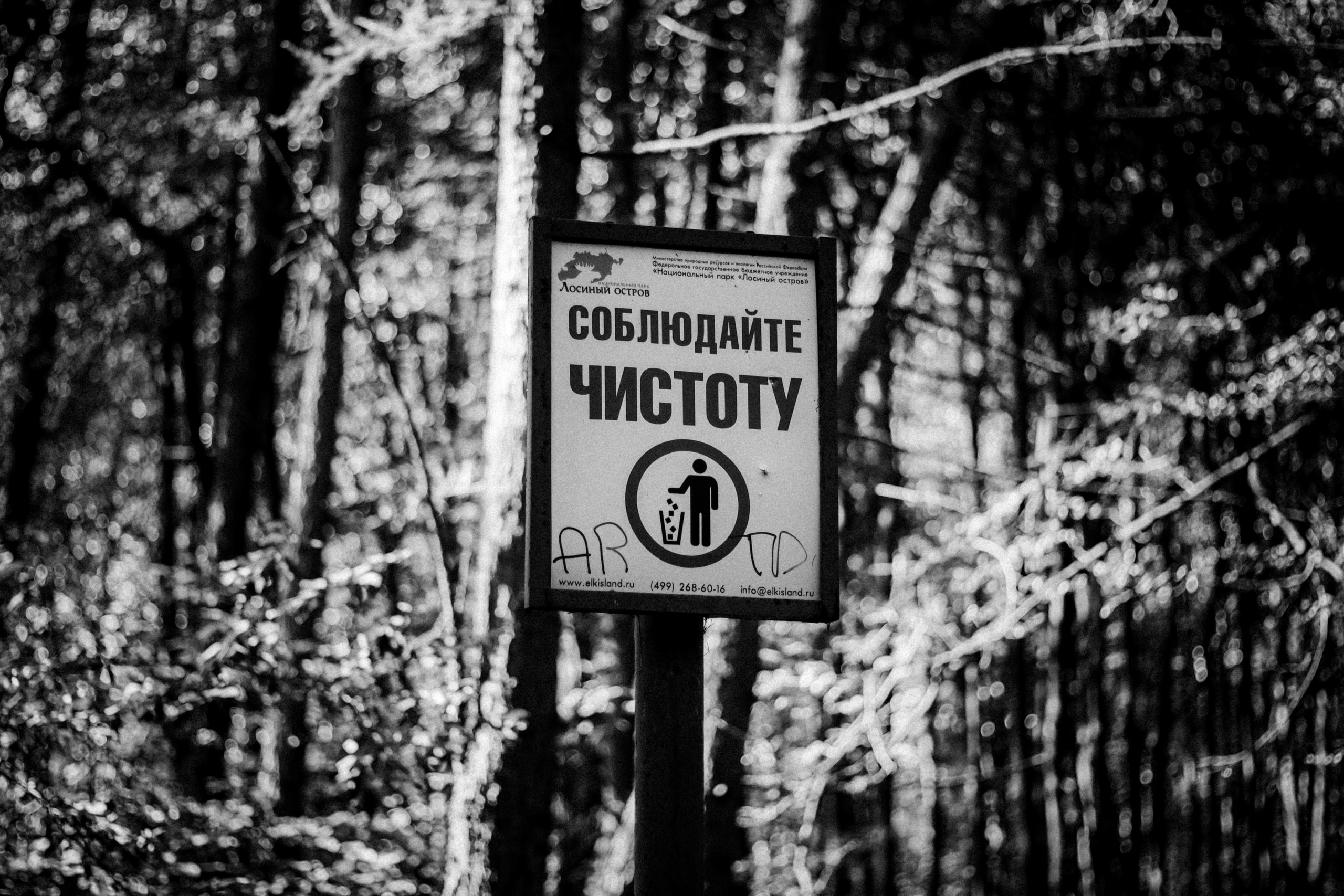 Cleaning the forest with Arshak Makichyan and Tasha Tale, August 2021. Photographer in Israel Alice Milchin
