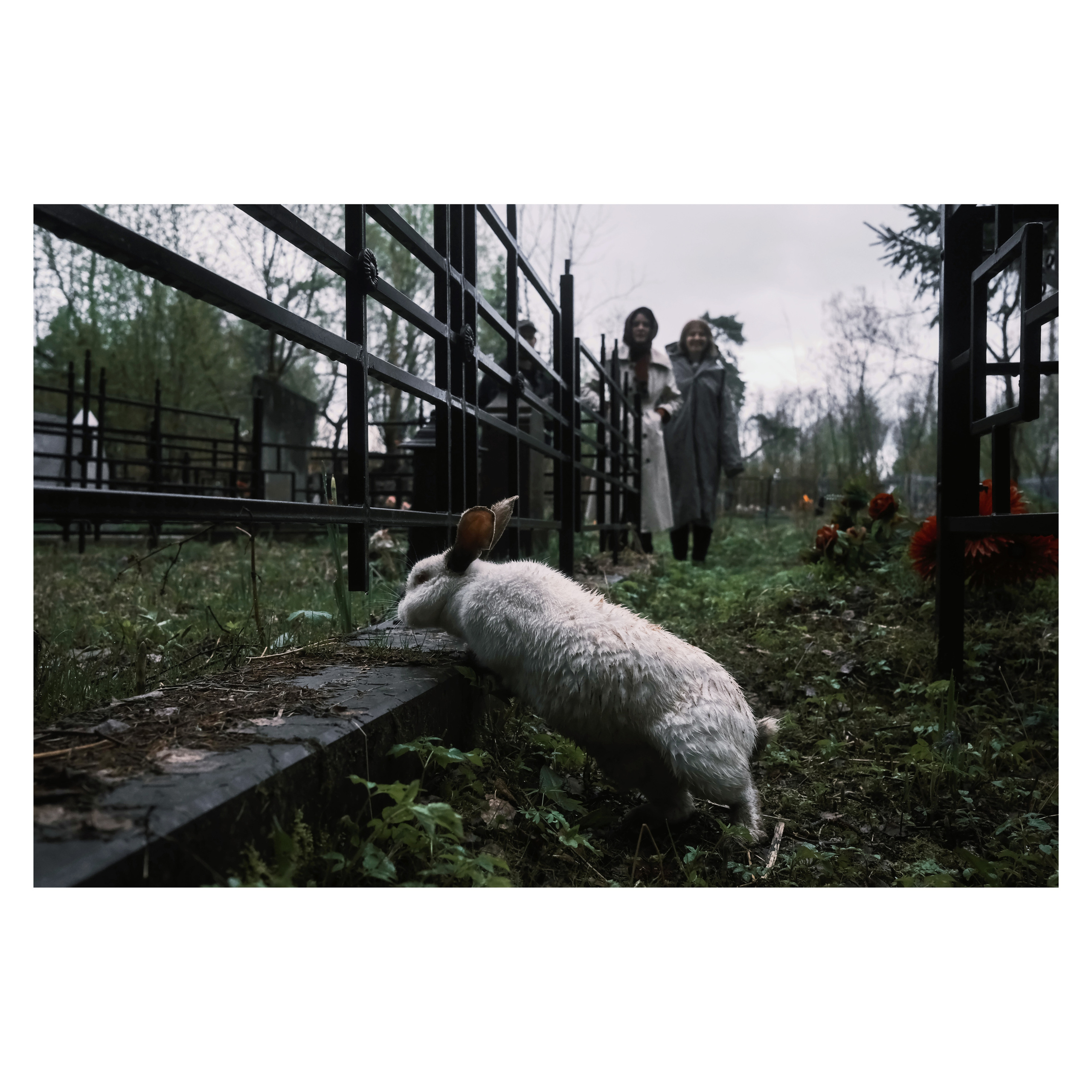 DMITLAG: Memorial, May-June 2022. Photographer in Israel Alice Milchin