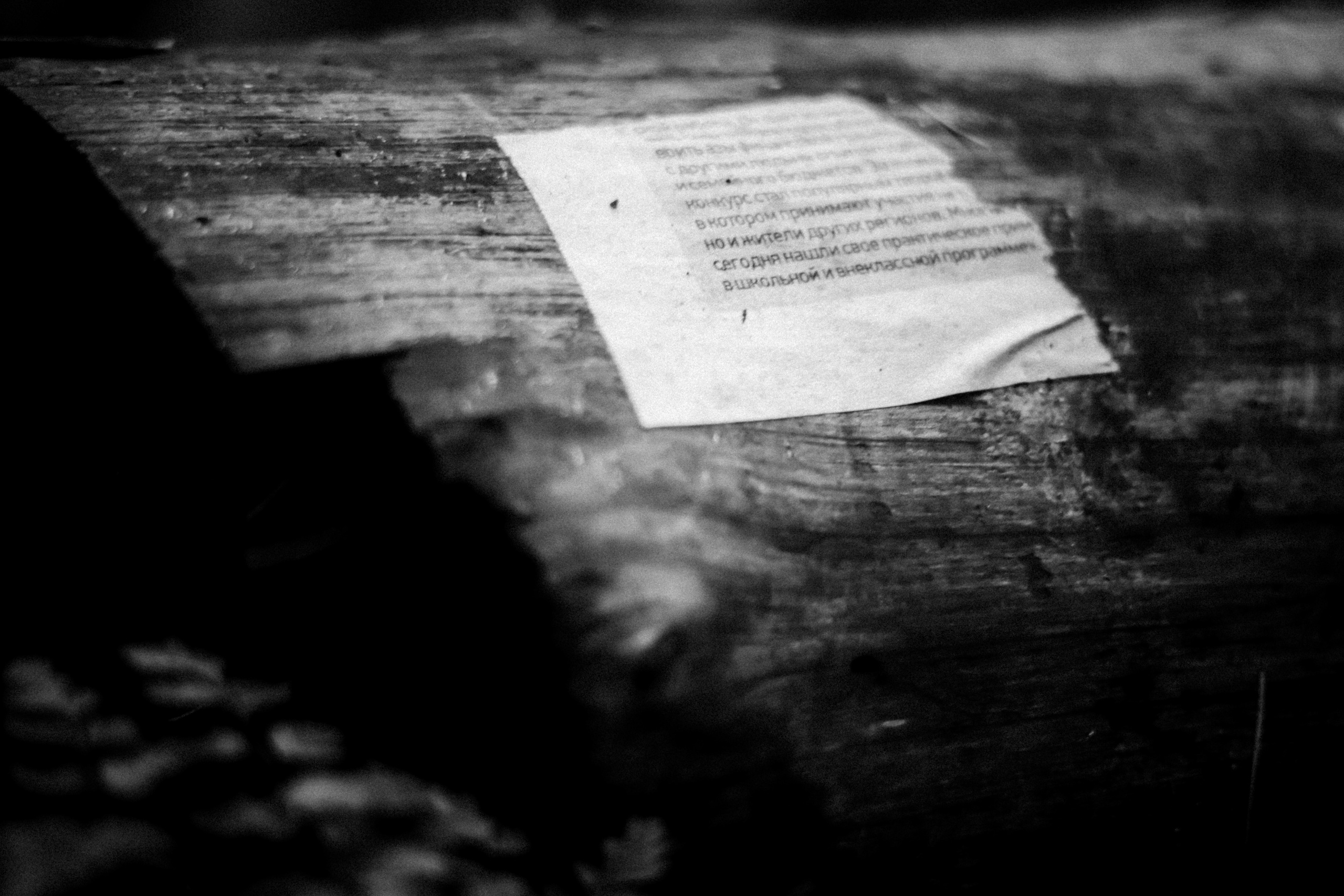 Cleaning the forest with Arshak Makichyan, September 2021. Photographer in Israel Alice Milchin