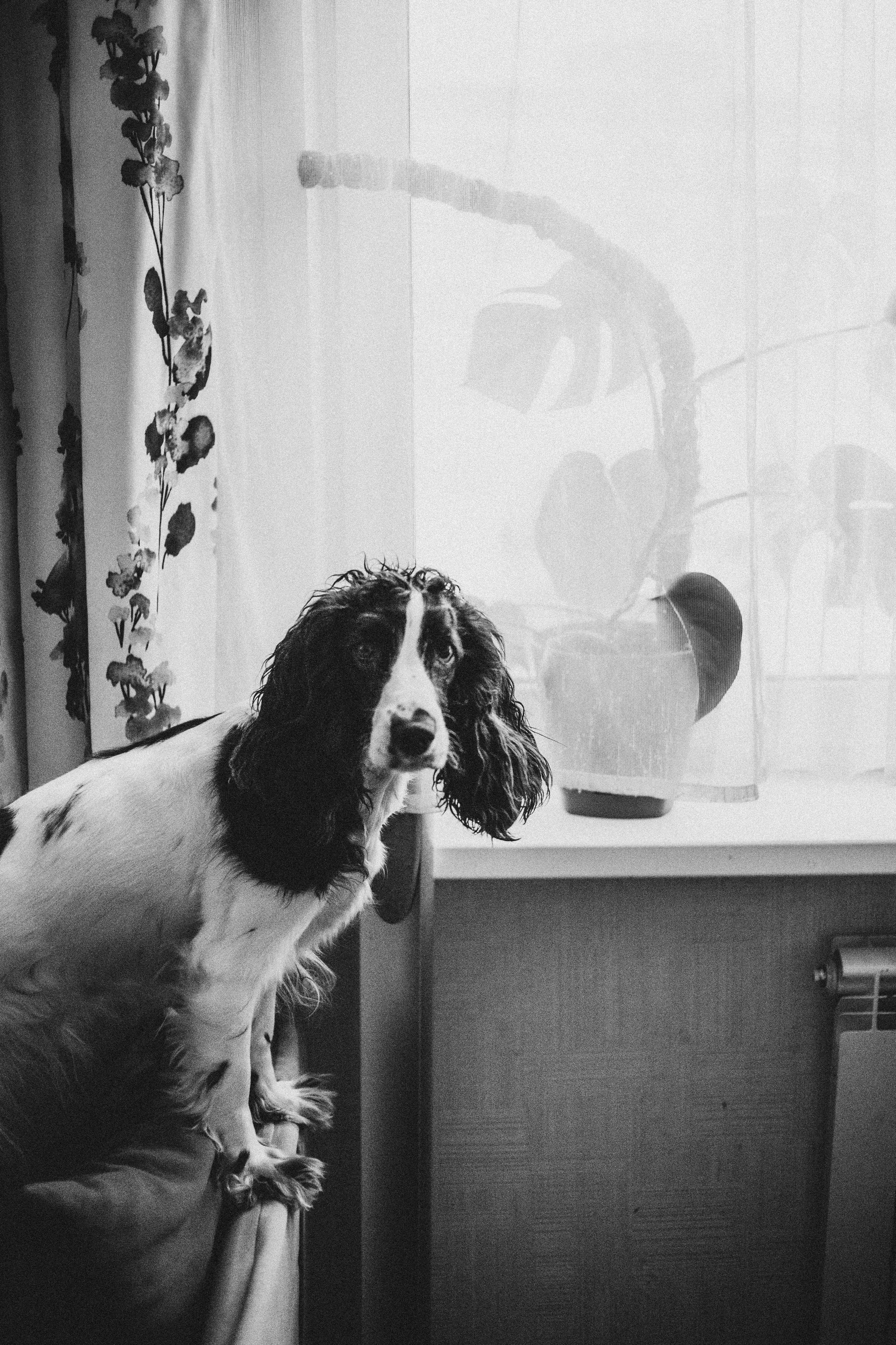 Домашние посиделки. Семейный фотограф Виктория Потехина Москва