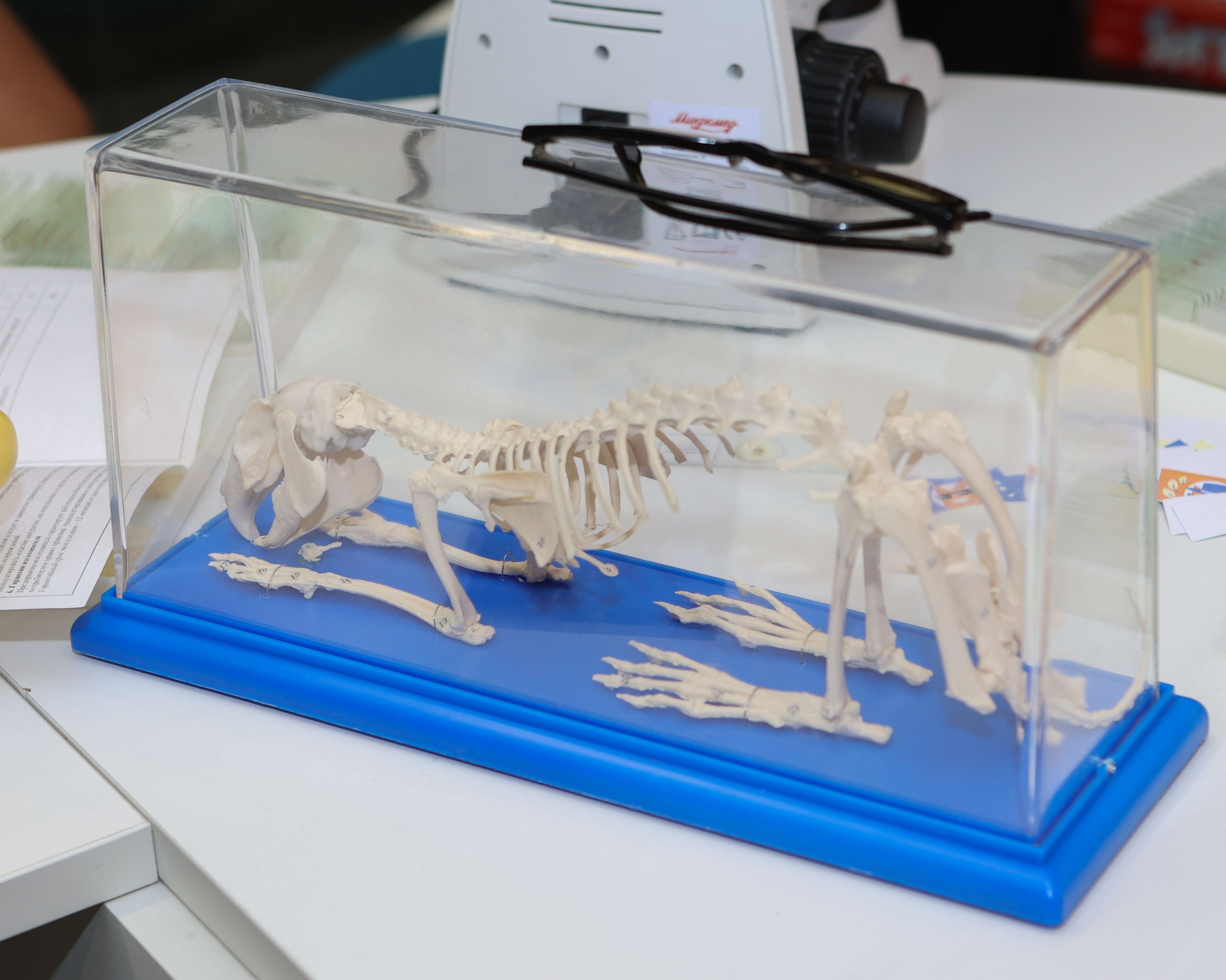 5-7 классы: Фоксфорд. Выпускные альбомы и школьный фотограф в Подольске, Троицке, Щербинке, Москве и Московской области