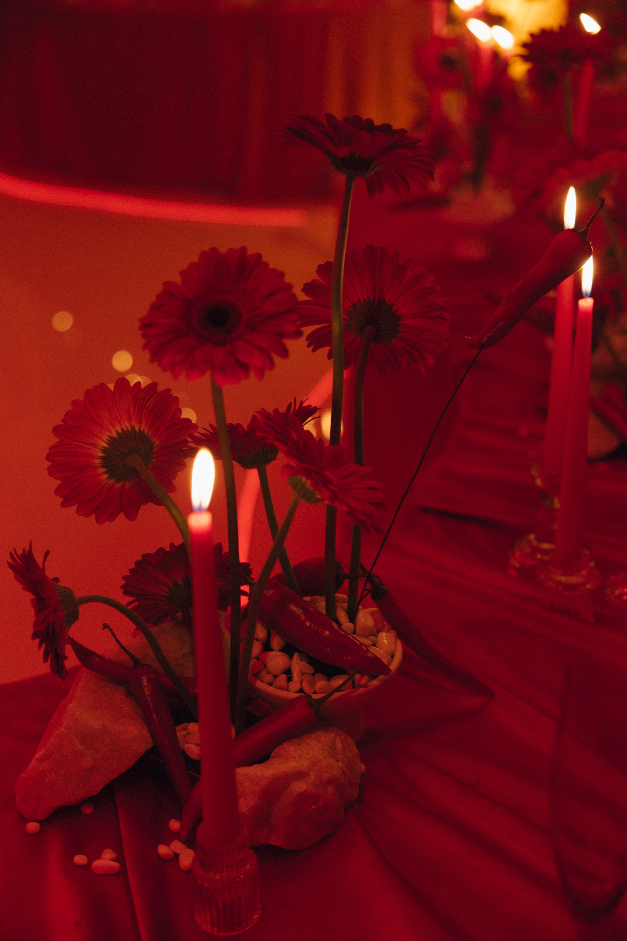 FAHRENHEIT. Свадебный фотограф Марусина Катерина