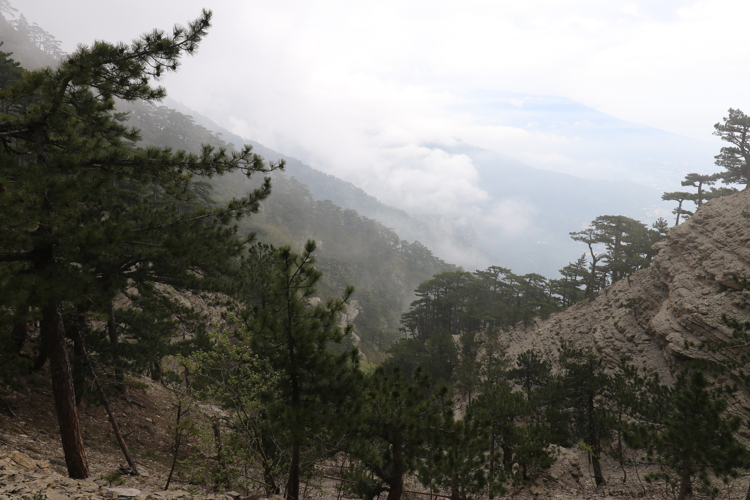 Крым. ЮБК (Бахчисарай, Демерджи, Судак). Первый скалолазный выезд. Май 2019. Путешественник-фотограф из Санкт-Петербурга Татьяна Свистулина