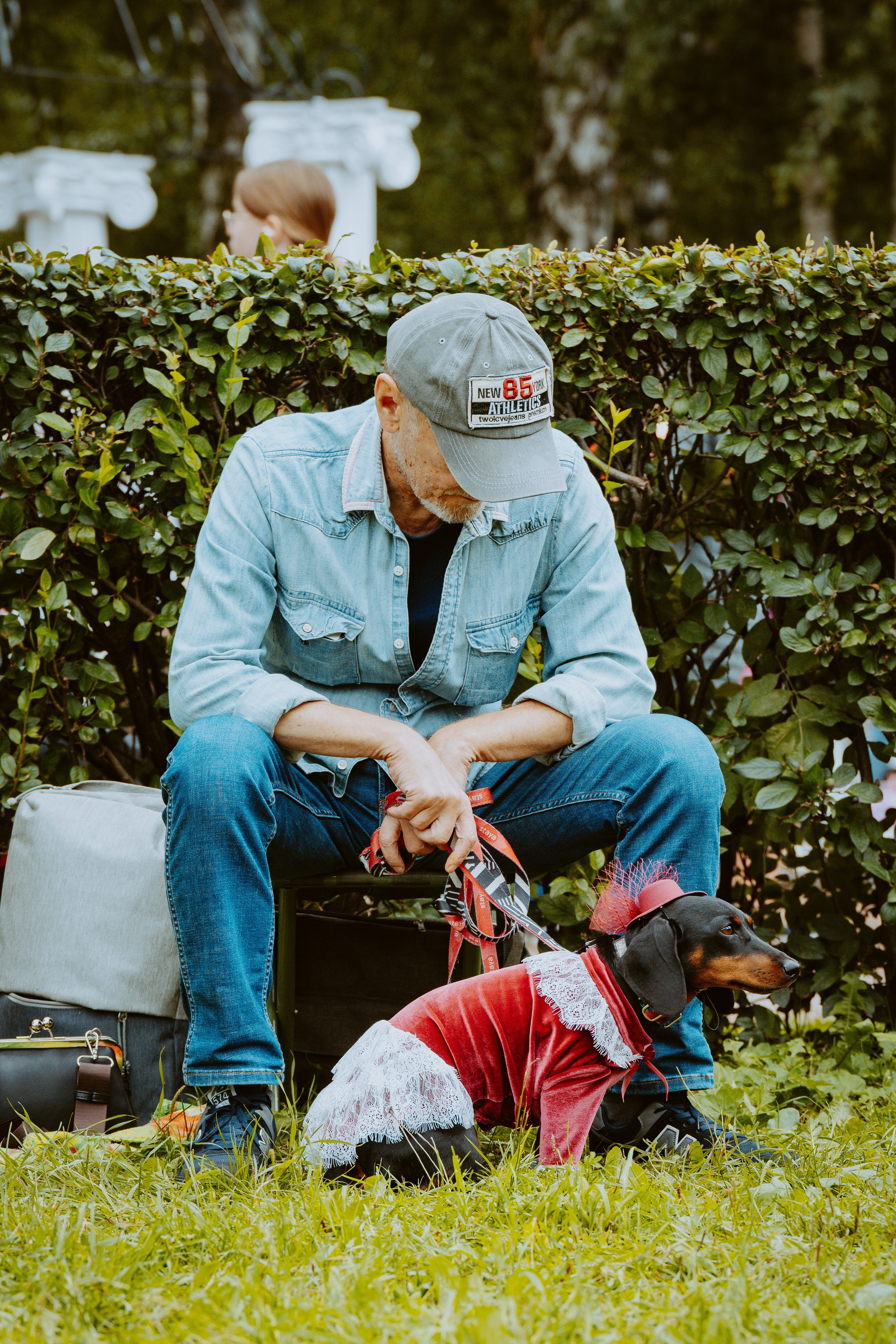 Такспарад. Фотограф анималист в Спб недорого Олеся Майорова