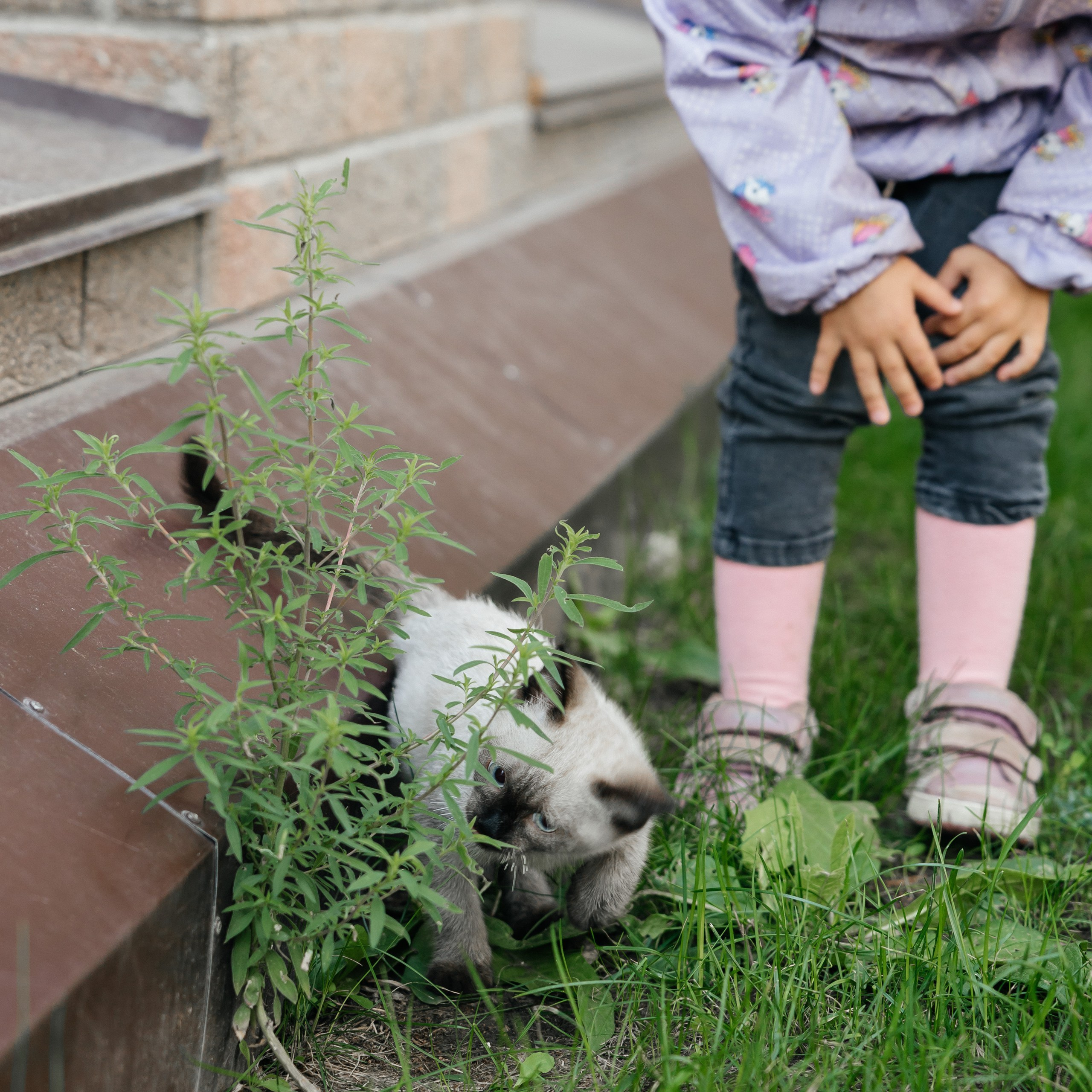 Проект 1. ЖК Buharest, Manhettan. Дата: Август 2023. Профессиональный фотограф в городе Астана/Алматы Даурен Сембаев