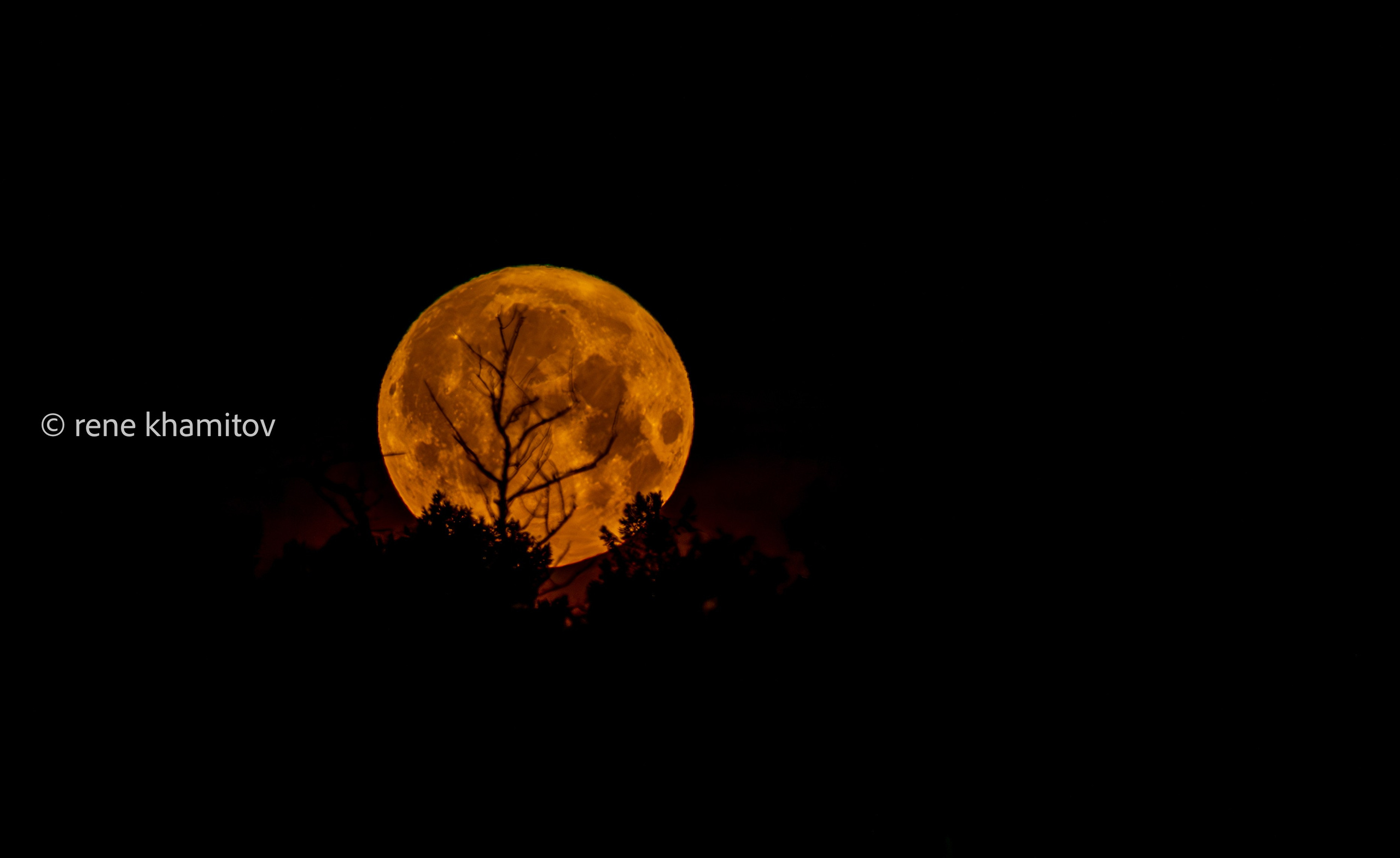 Rising moon over my village. Pictures of Rene Khamitov