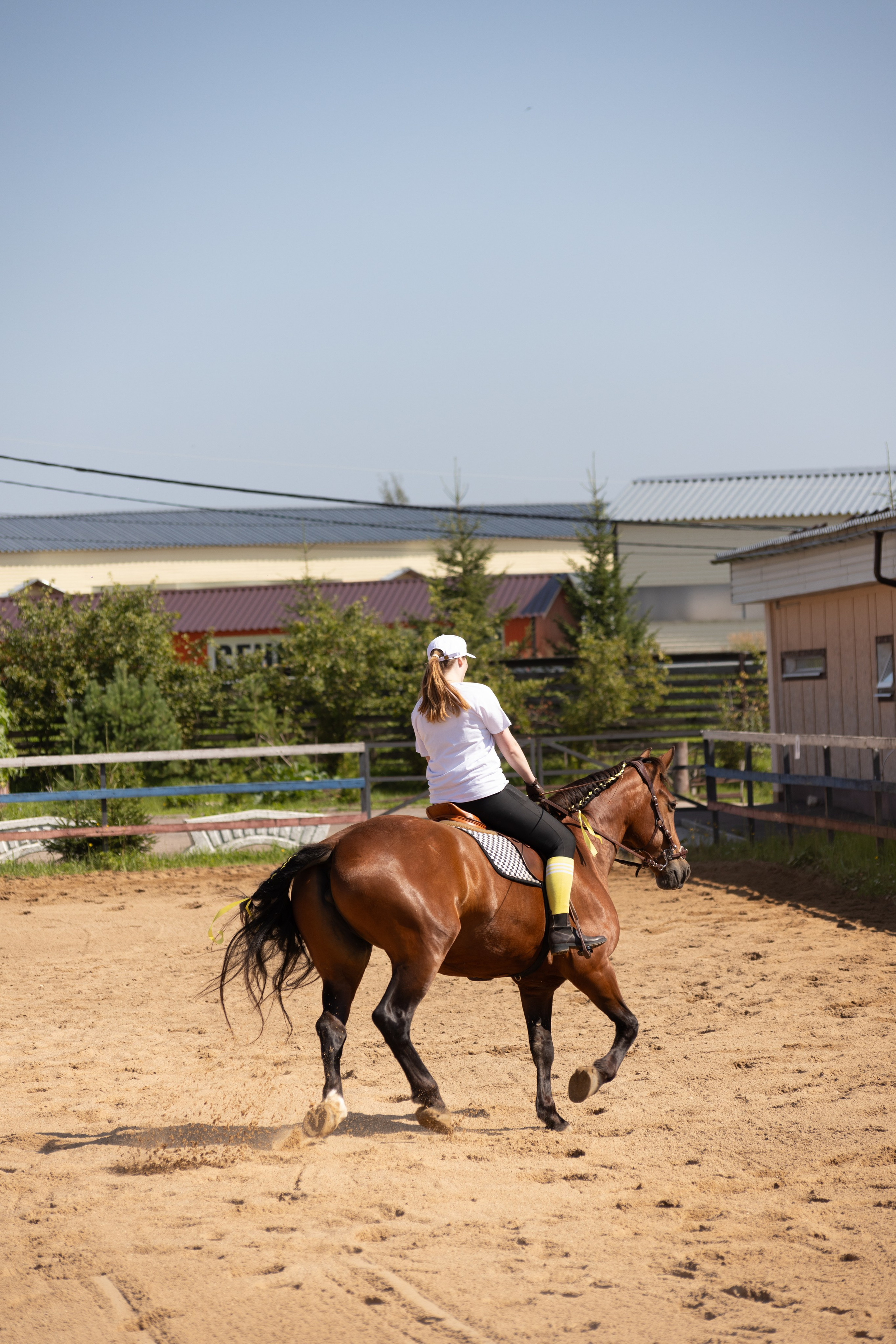Конюшня. Фотограф в Москве и Истре