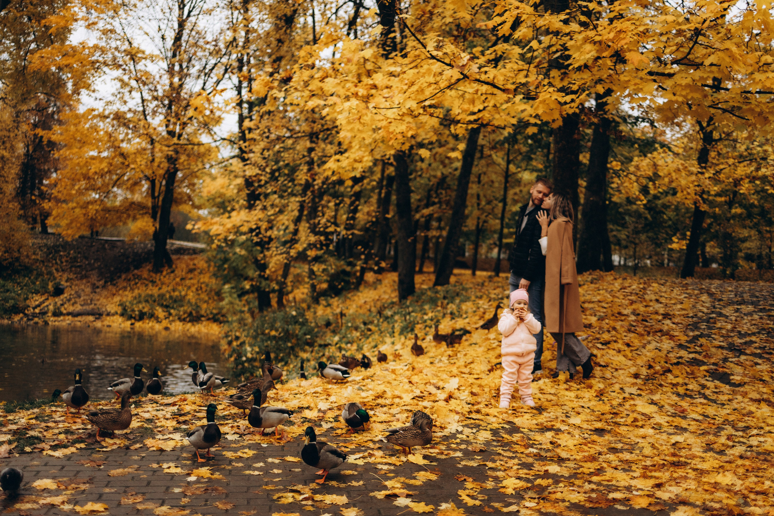 Осенняя семейная фотосъемка (11.10.2025 г.) г. Обнинск (Калужская обл.). Надежда Стар семейный и церковный фотограф в Жукове и Калужской области