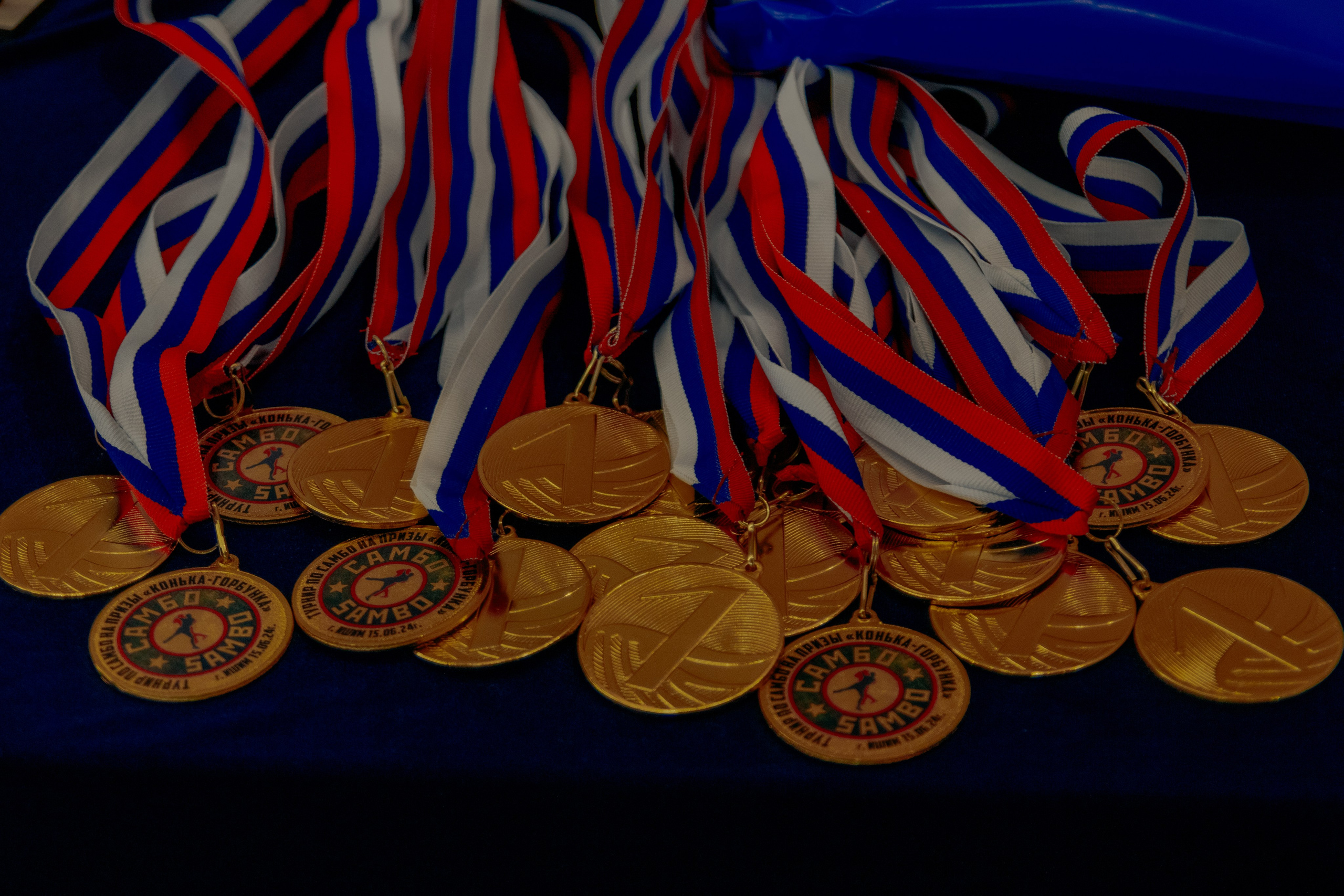 Самбо город Ишим