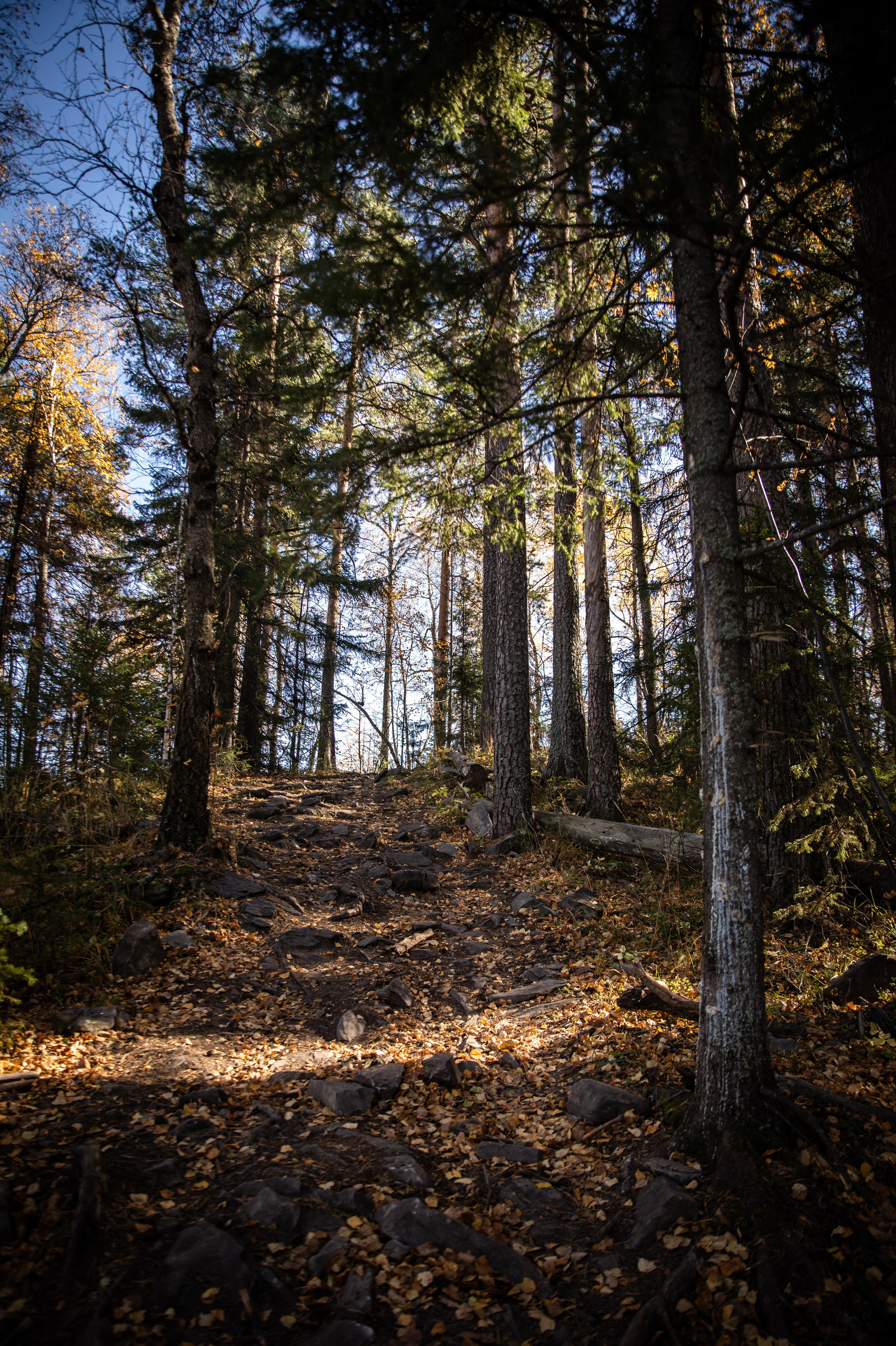 Ралли на оз.Тургояк. Репортажный и свадебный фотограф в Челябинске Елисеев Павел