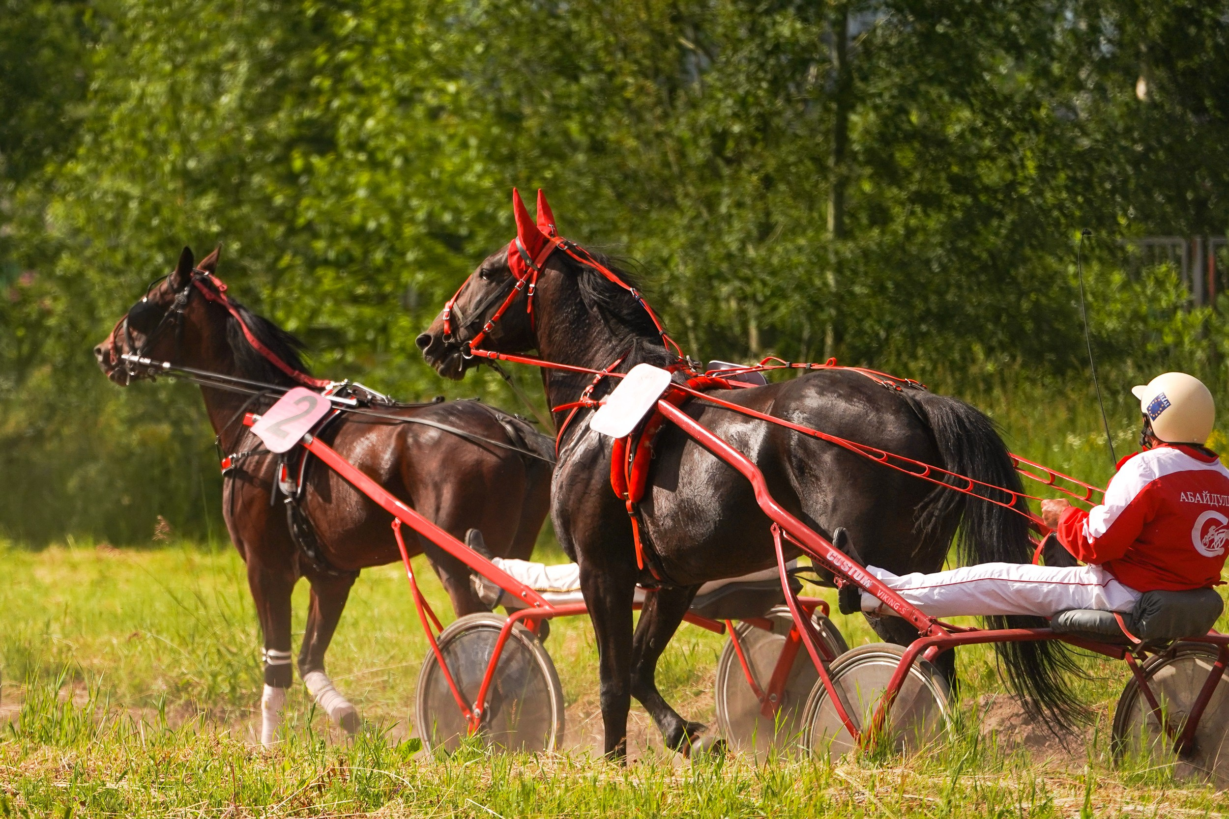 III конные бега на Кубок Главы Чувашии. Фотограф-анималист, портретный фотограф в Чебоксарах Мария Садыкова