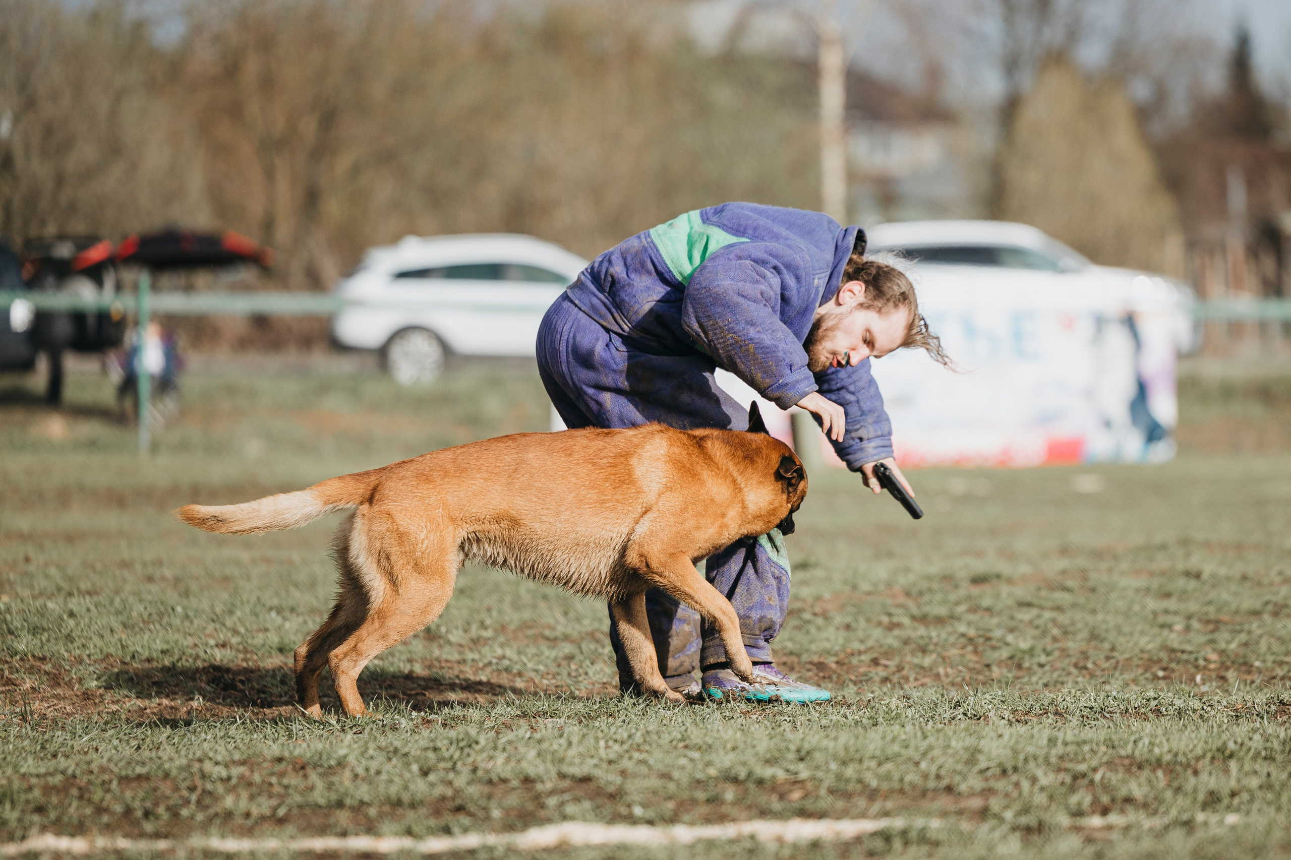 09.05.25 Вологда соревнования. Фотограф-анималист Анна Маринич