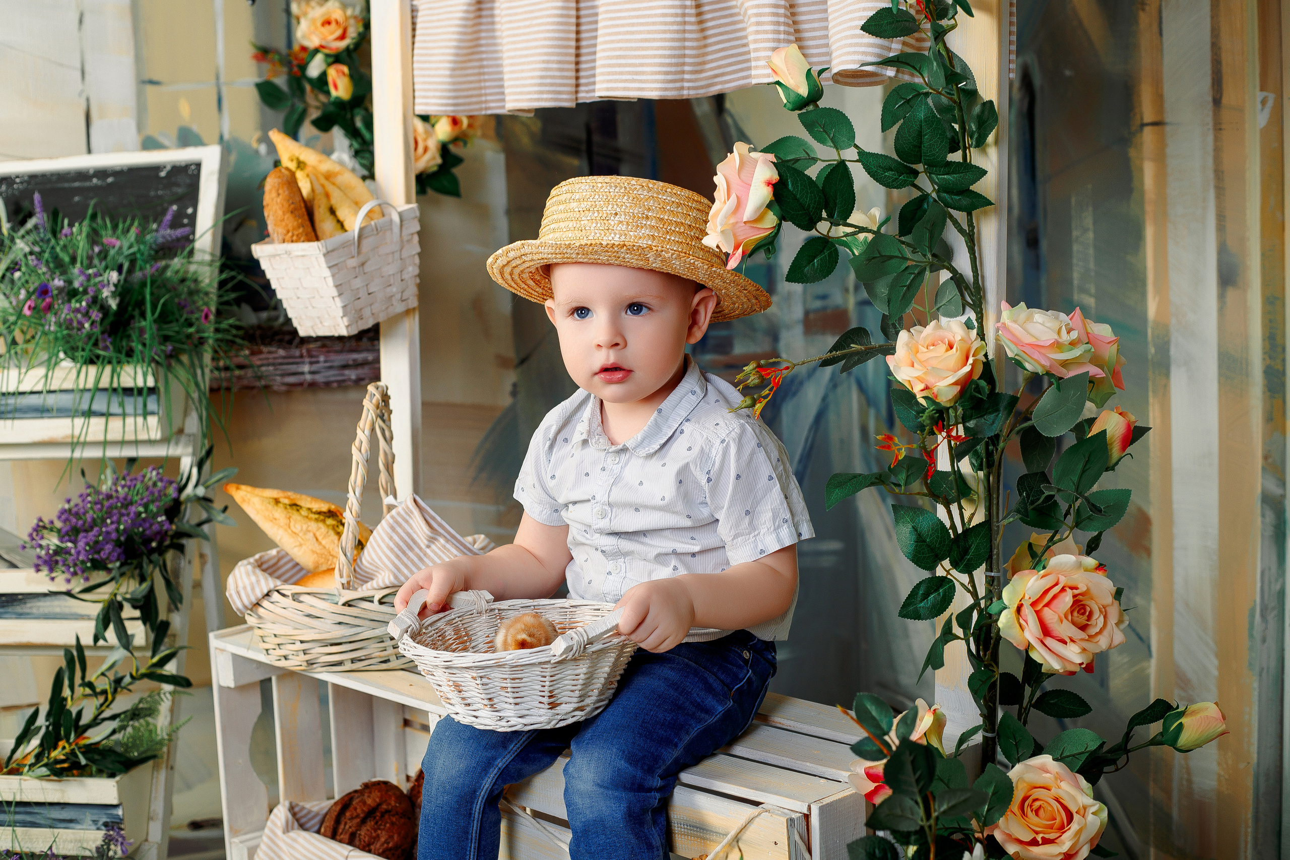 Фотодень с цыплятами Спб. Фотограф в Санкт-Петербурге, Анна Скворцова