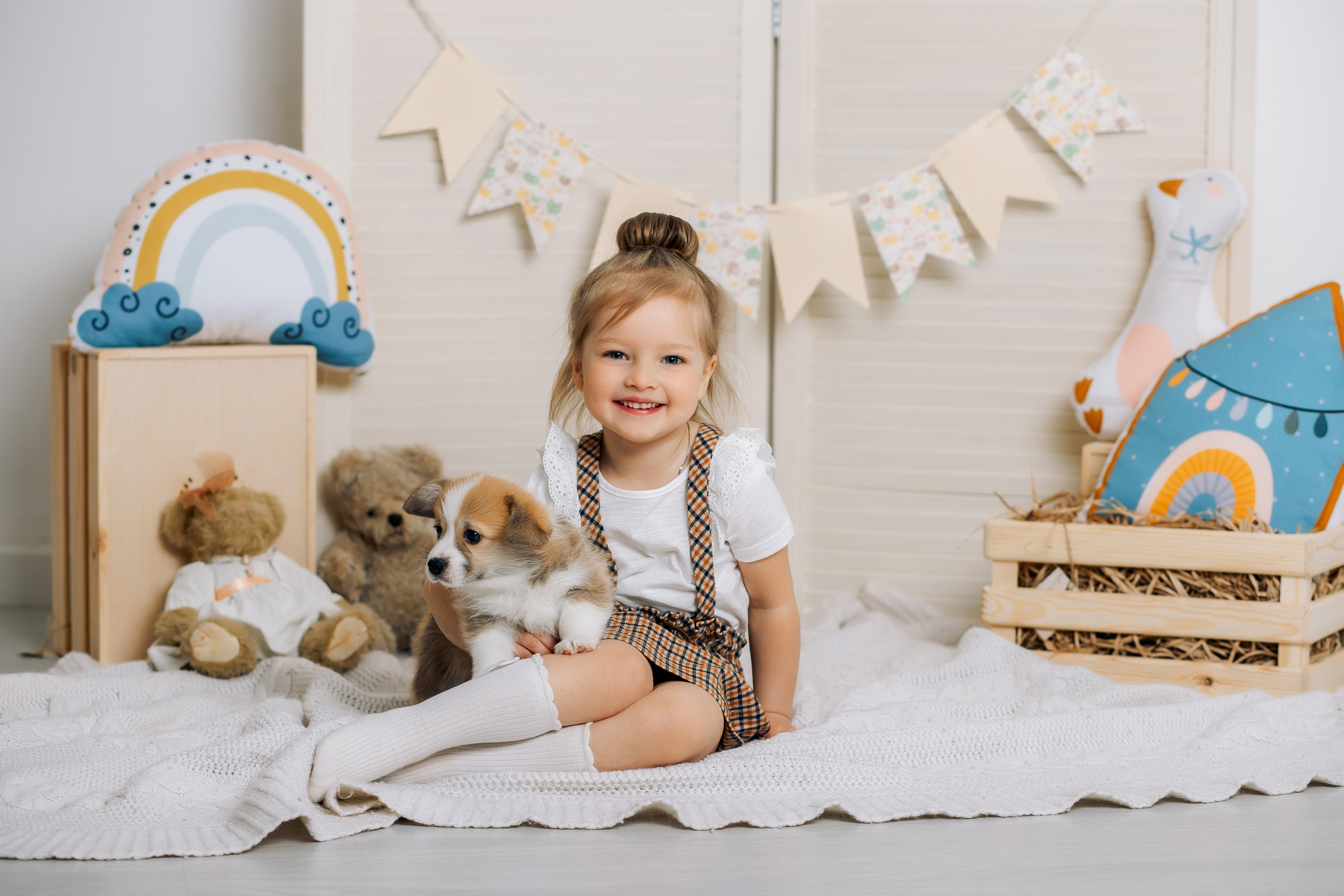 Фотосессия с щенятами корги спб