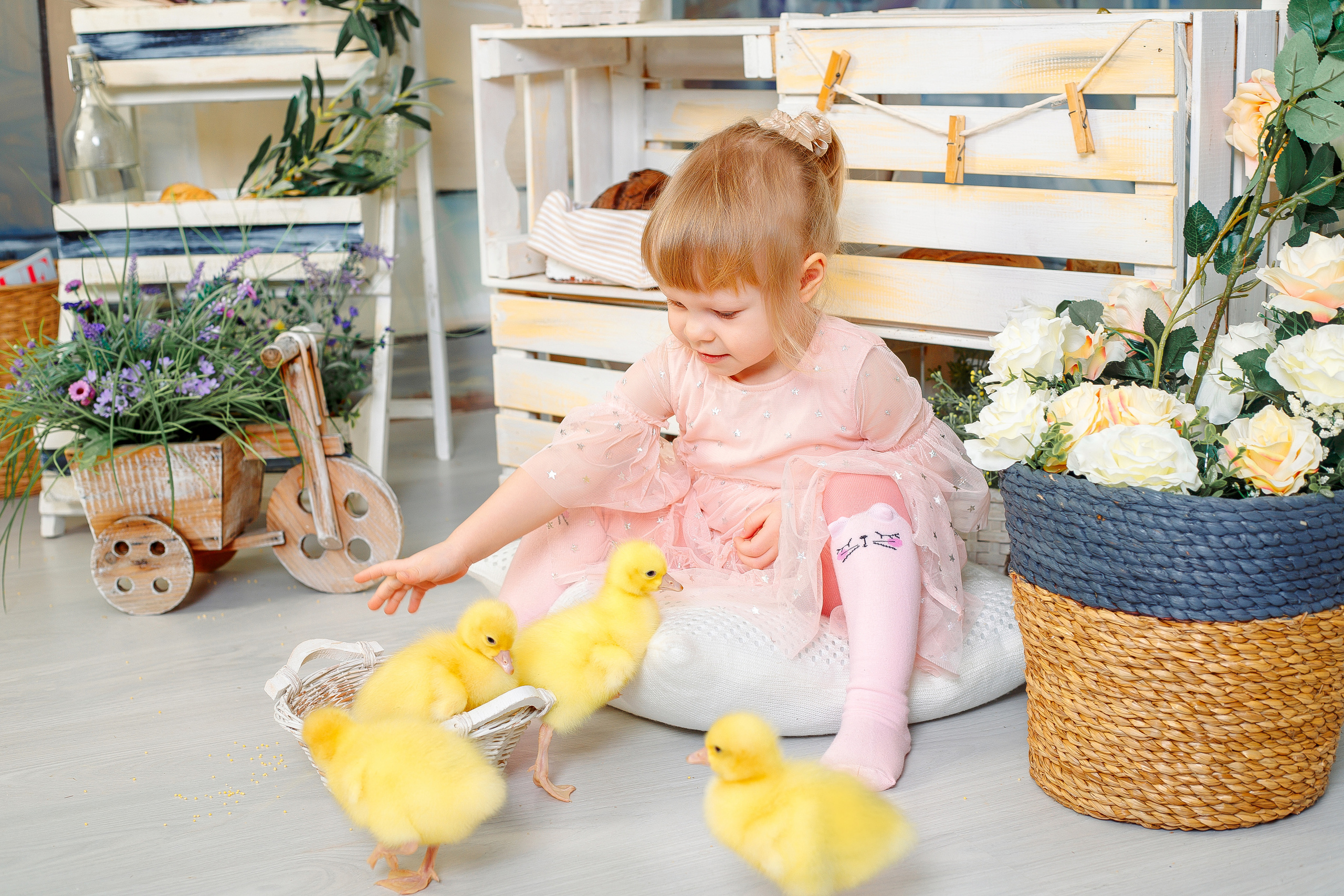 дети и животные