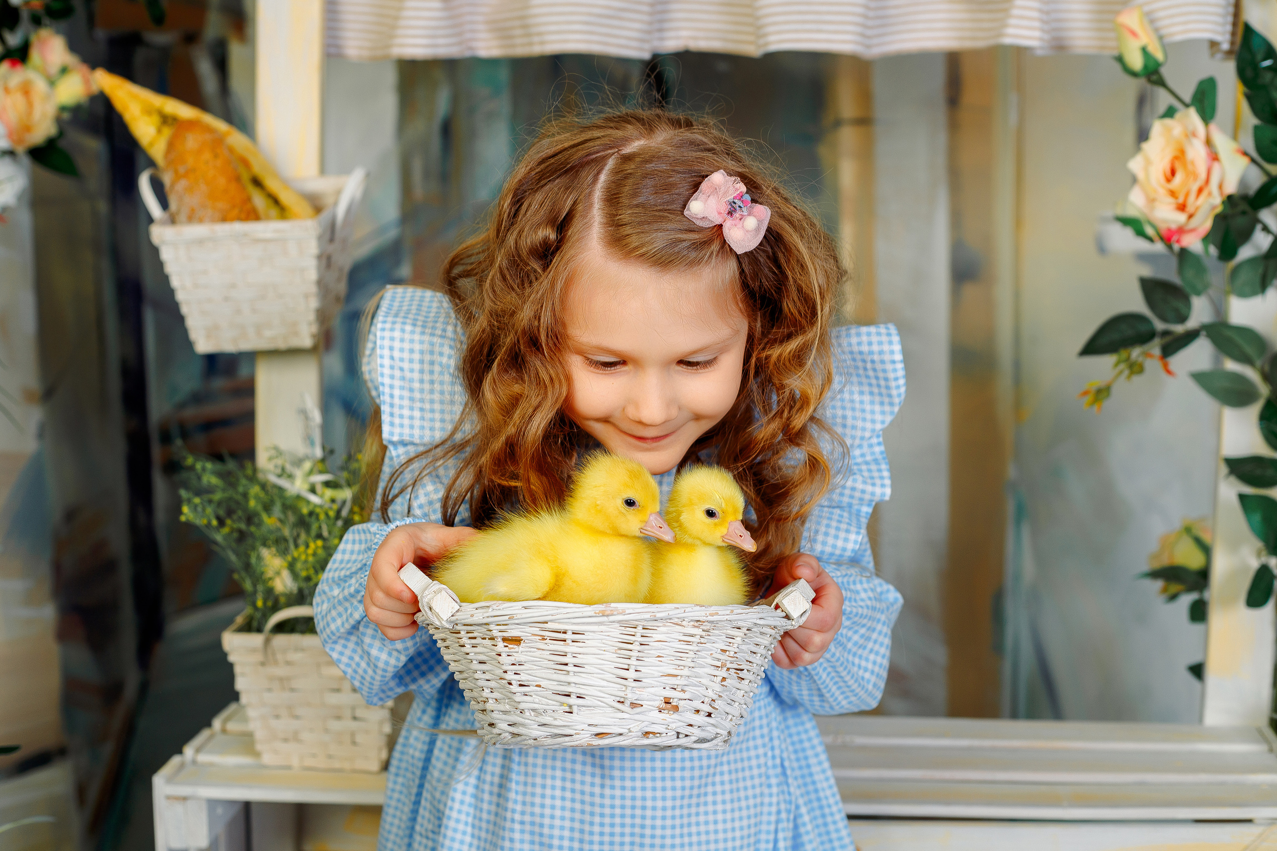 Девочка в голубом платье целует утят