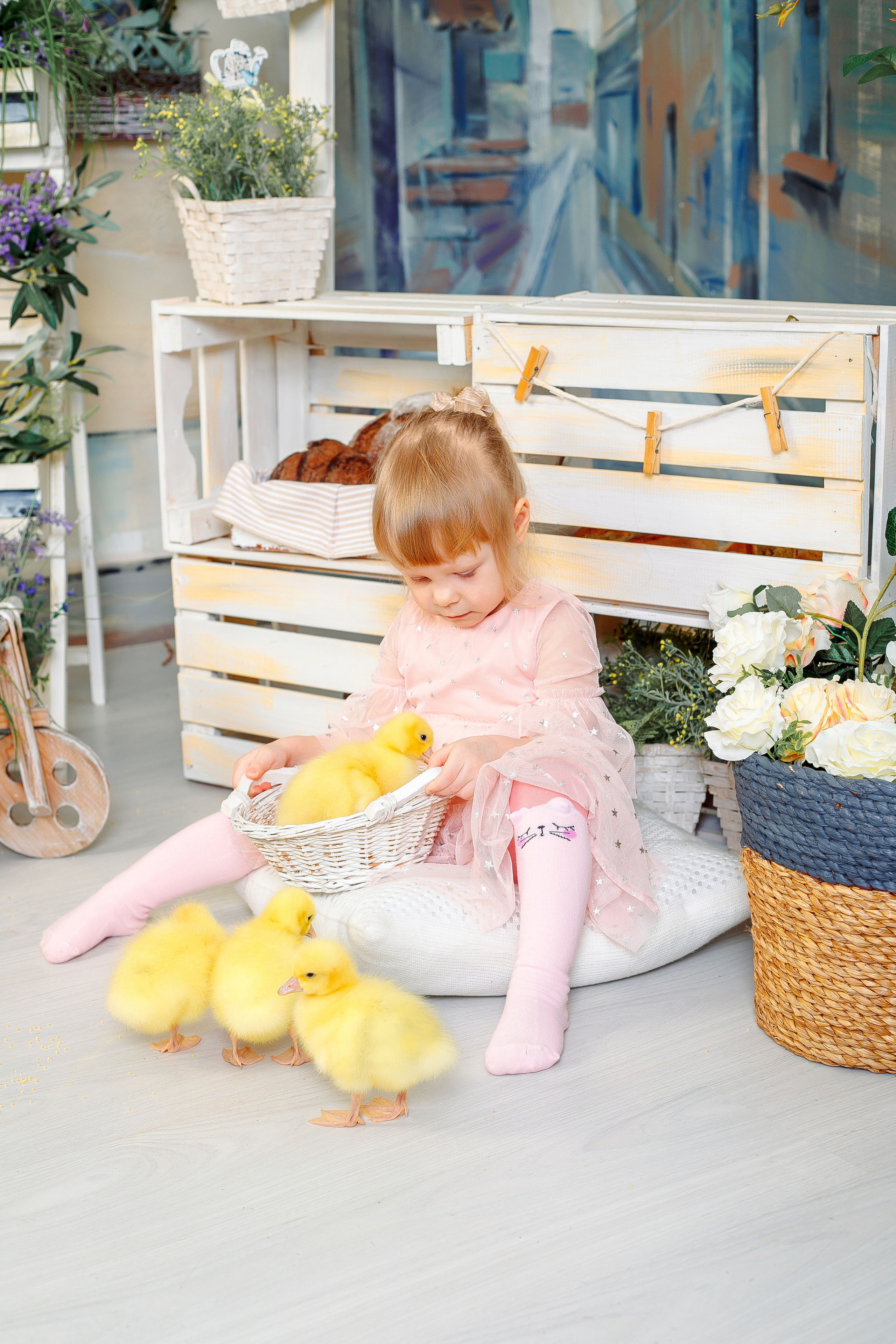 Фотодень с утятами Спб. Фотограф в Санкт-Петербурге, Анна Скворцова