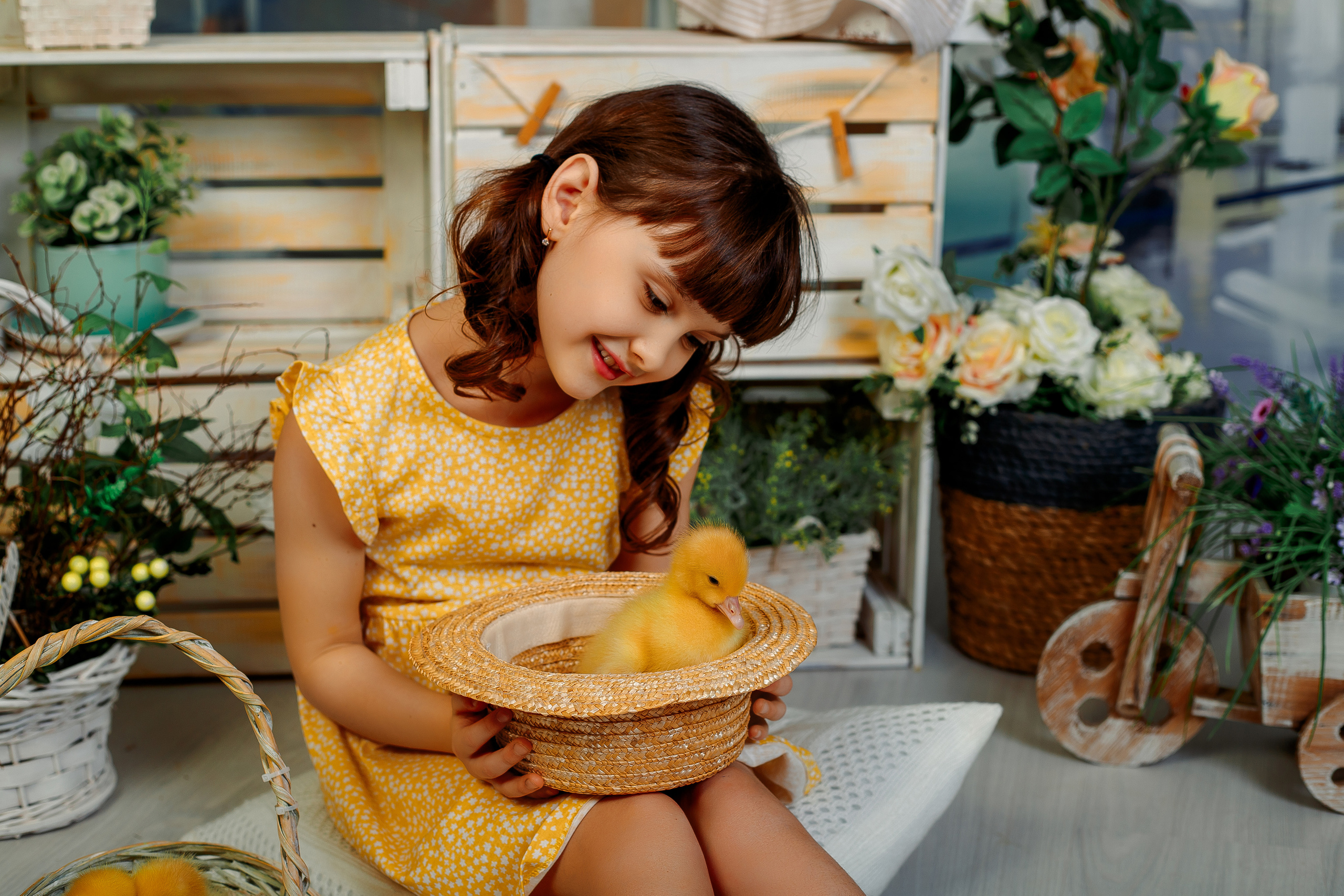 Фотодень с утятами Спб. Фотограф в Санкт-Петербурге, Анна Скворцова