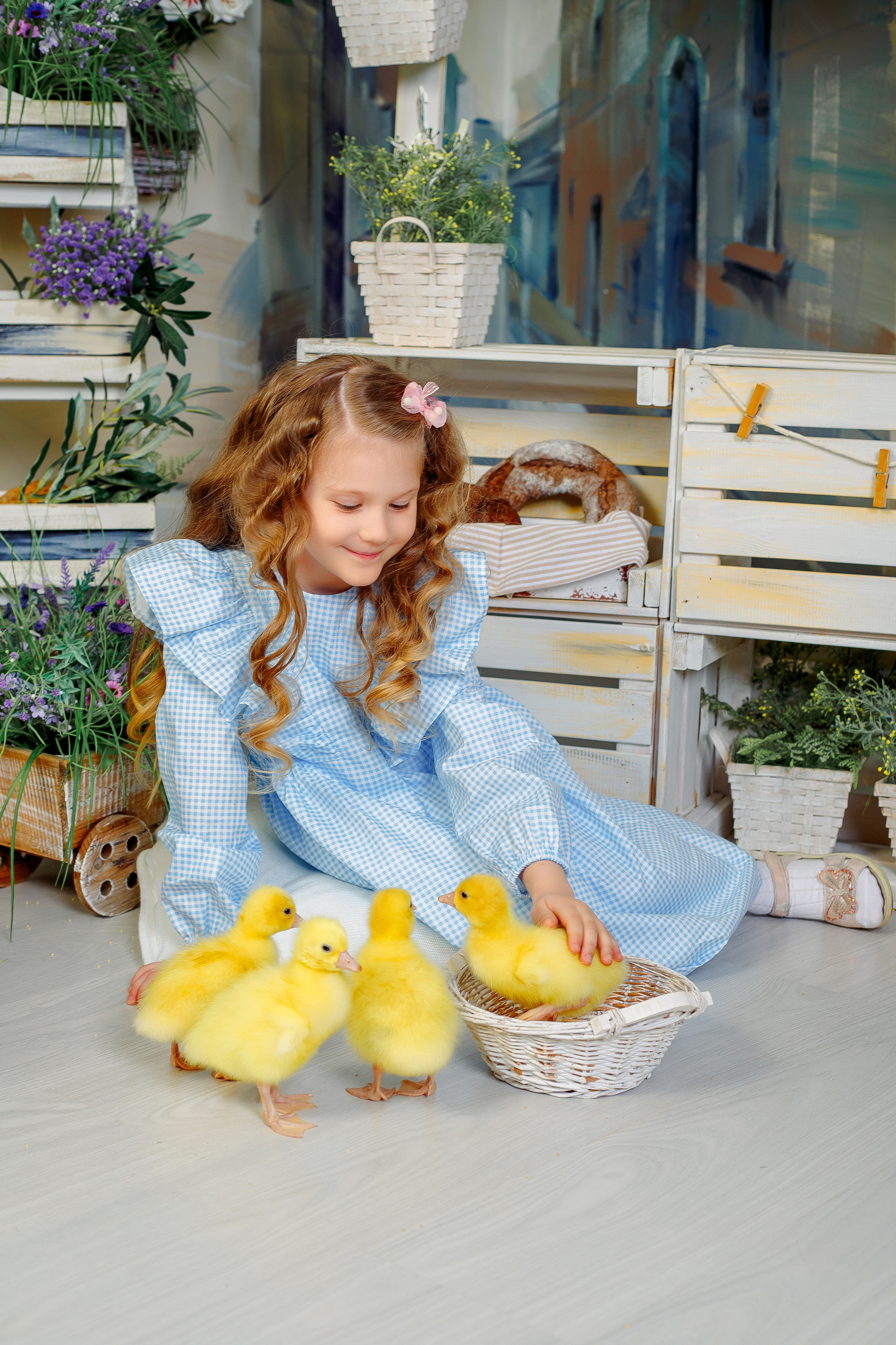 Фотосессия с утятами спб