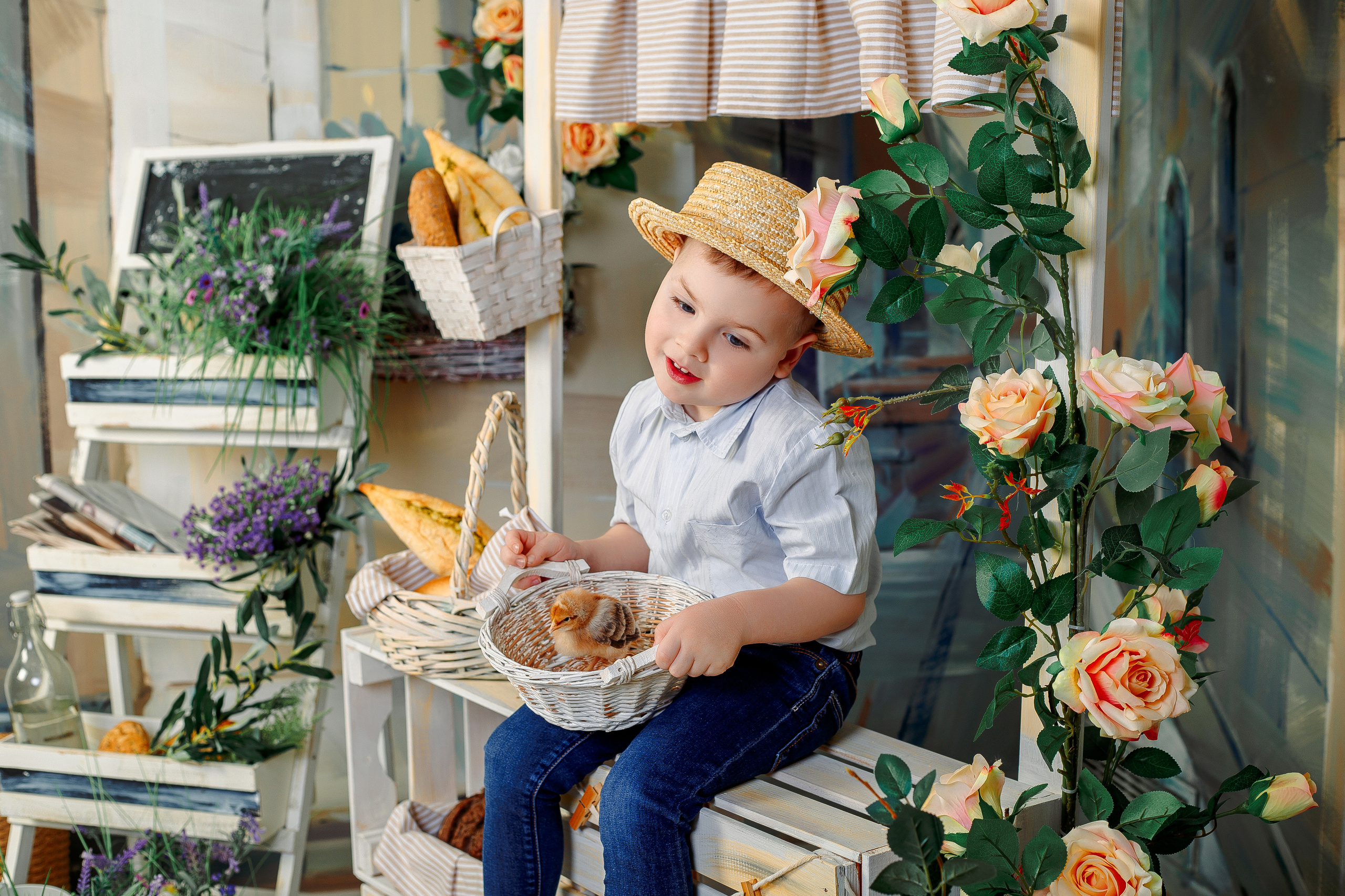 Фотодень с цыплятами Спб. Фотограф в Санкт-Петербурге, Анна Скворцова