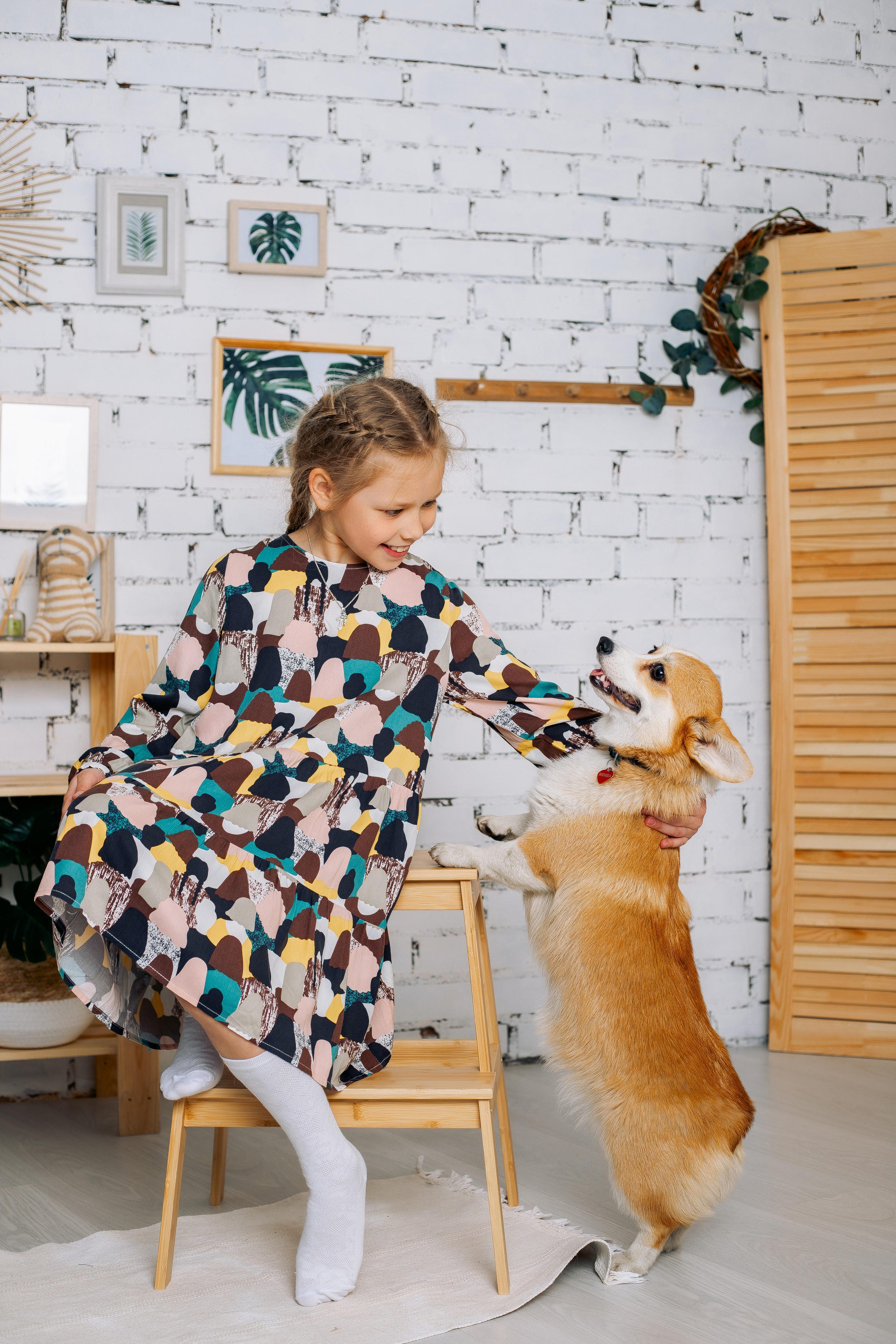 Фотосессия с собаками