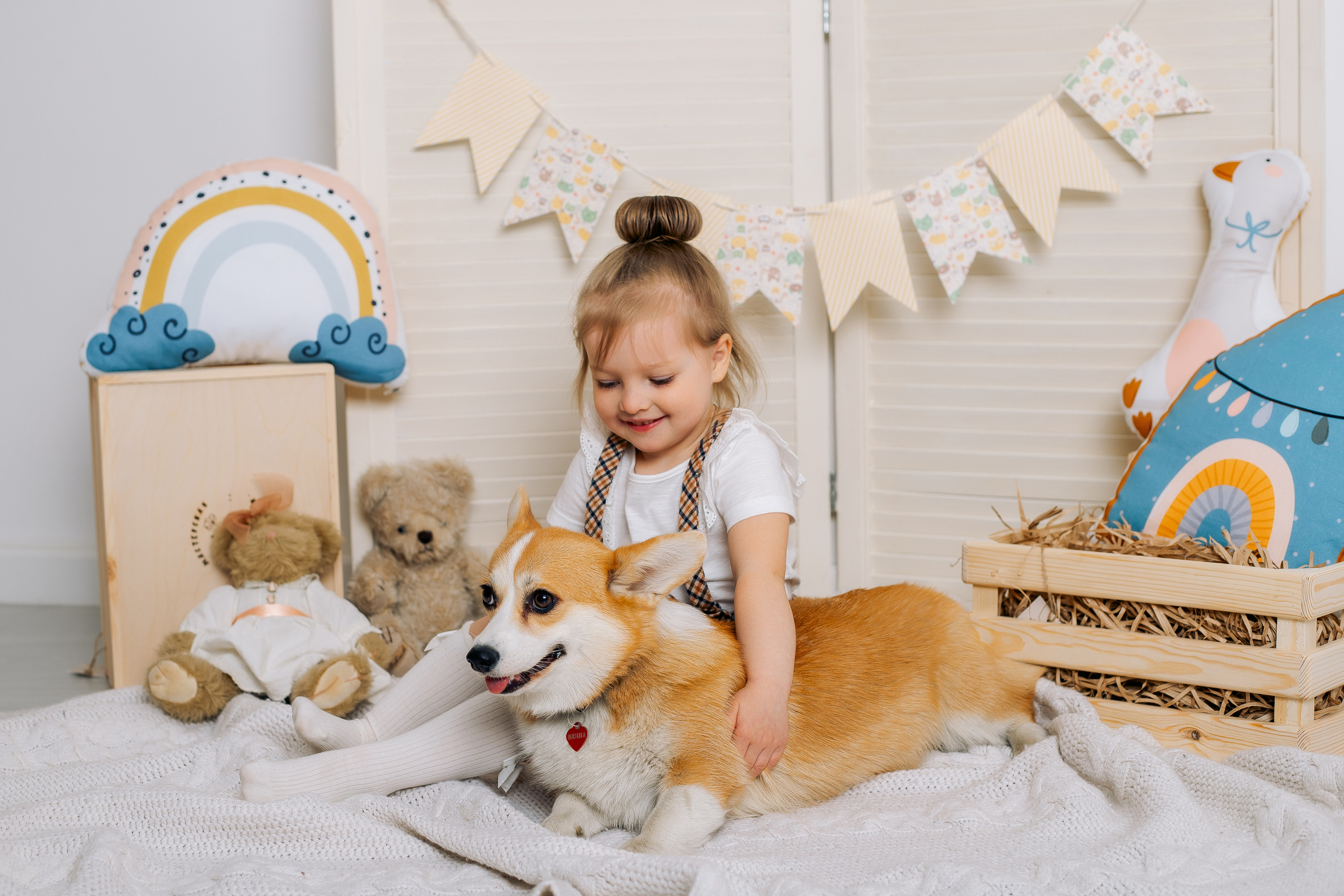 фотосессия с корги