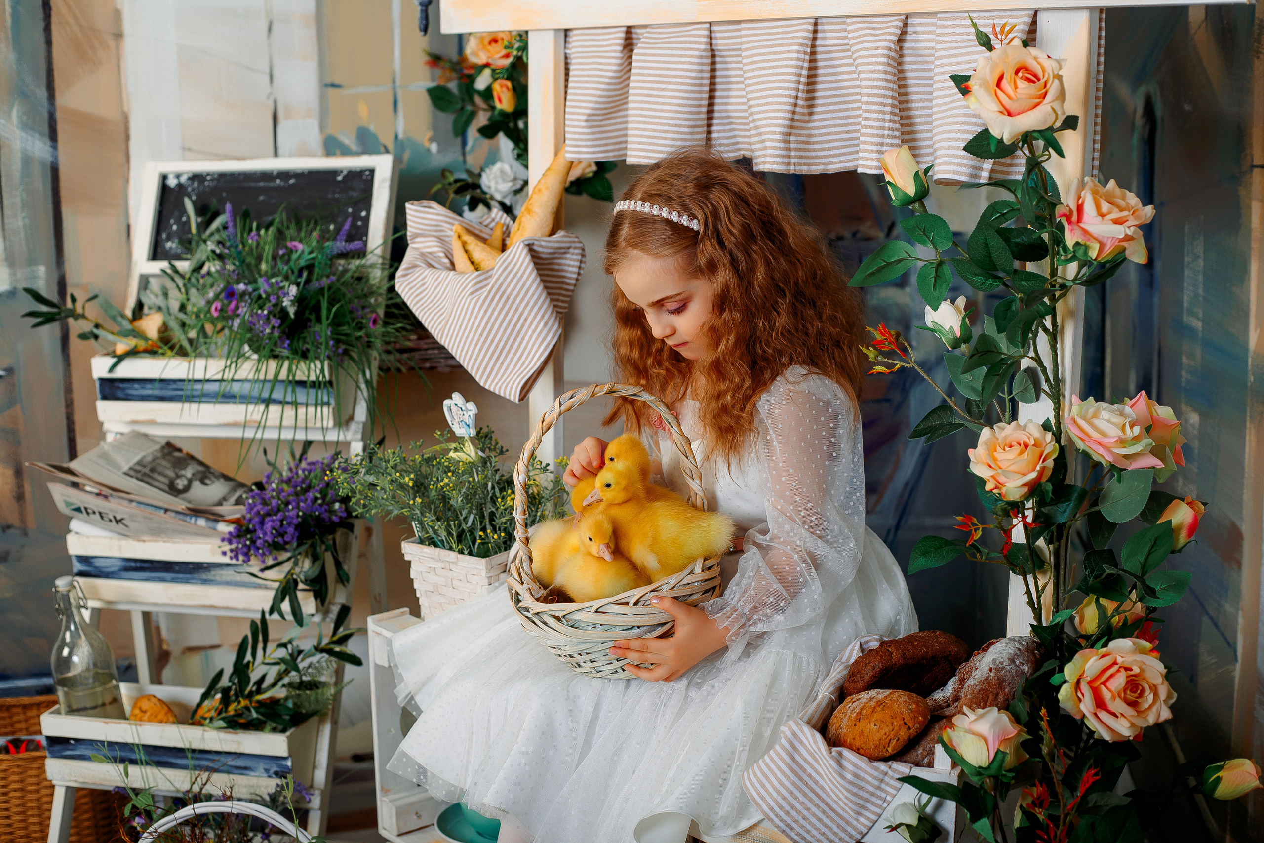 Фотодень с утятами Спб. Фотограф в Санкт-Петербурге, Анна Скворцова