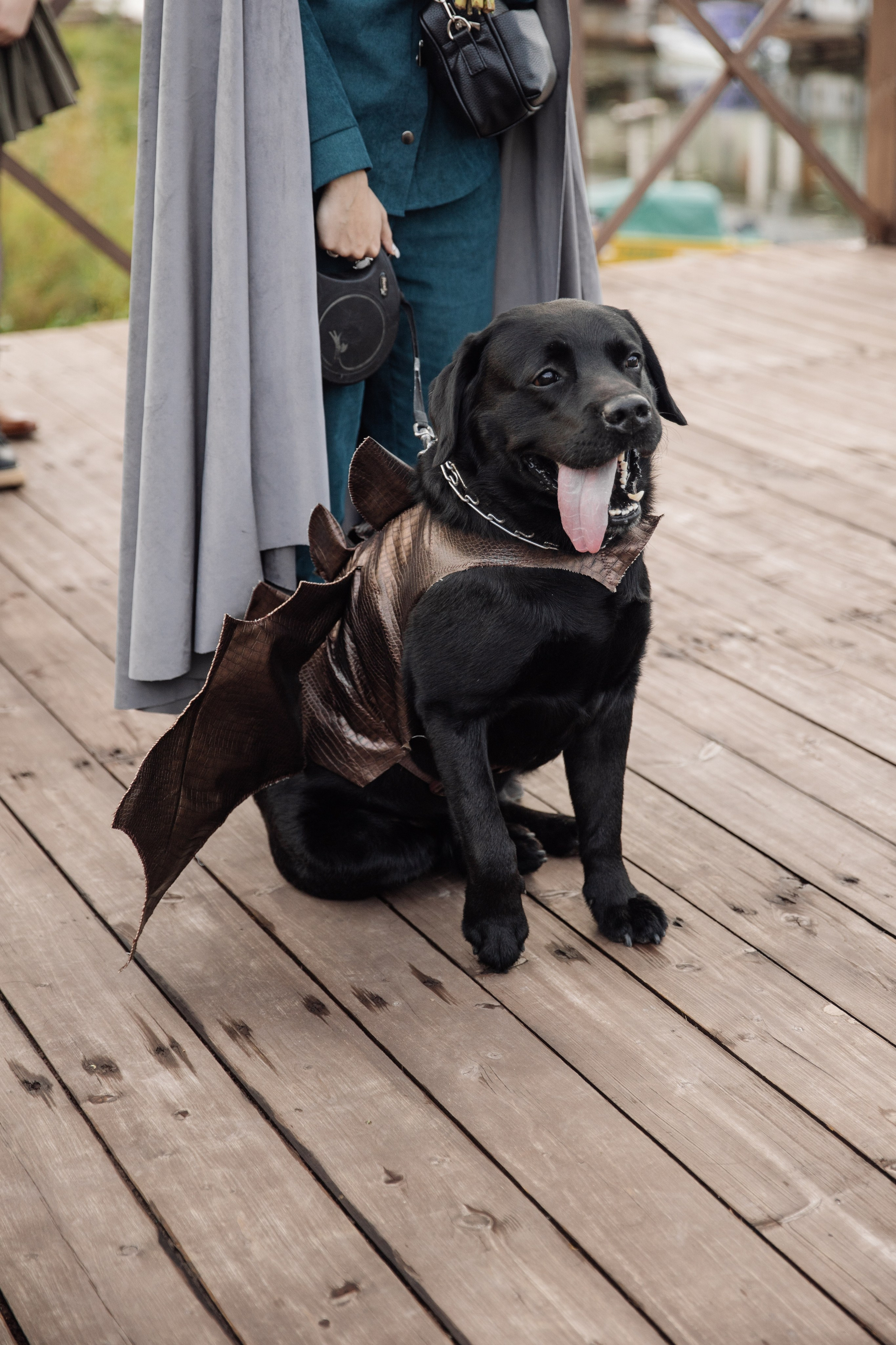 В стиле Властелина Колец. Свадебный фотограф в Нижнем Новгороде — Эдуард Смирнов