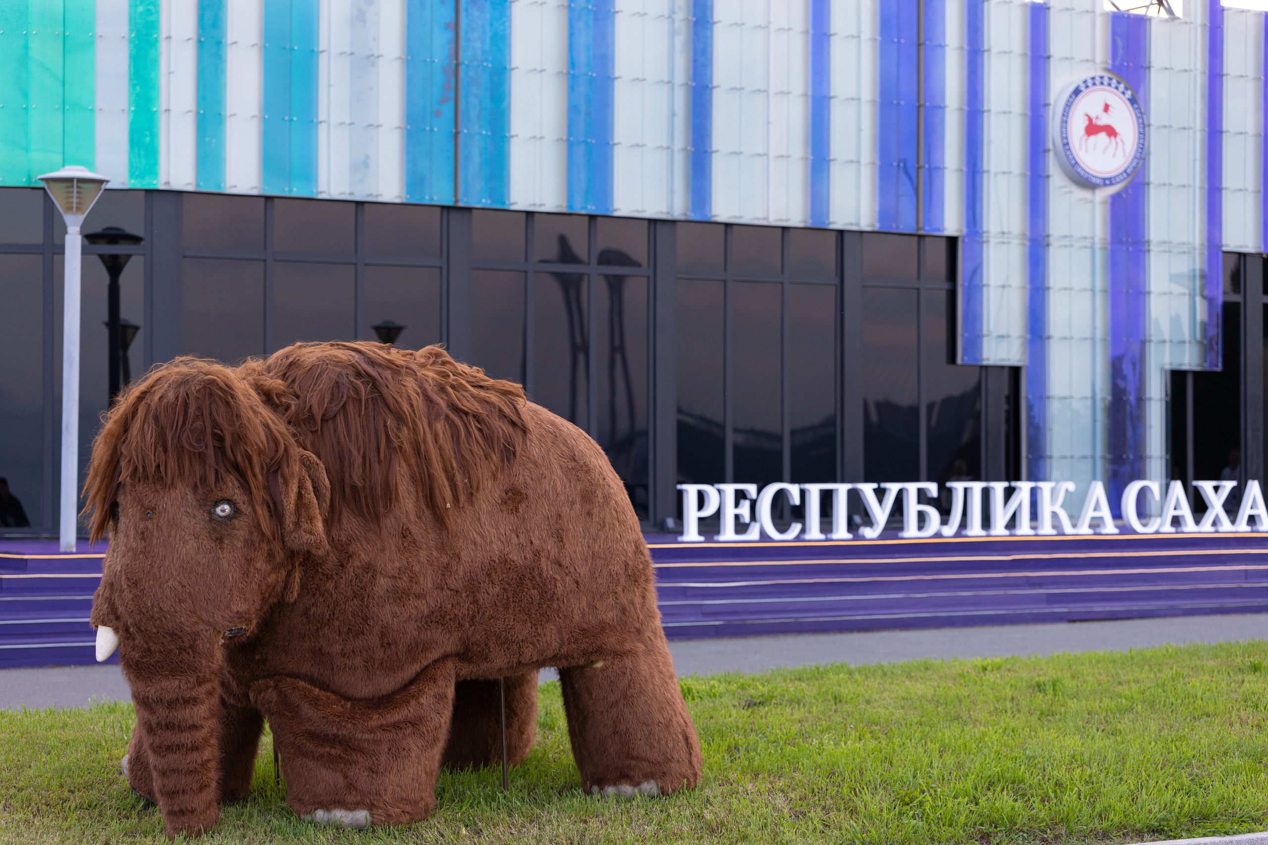 ВЭФ 2025. Олег Катакинов| Репортажный фотограф в городе у моря (Владивосток)