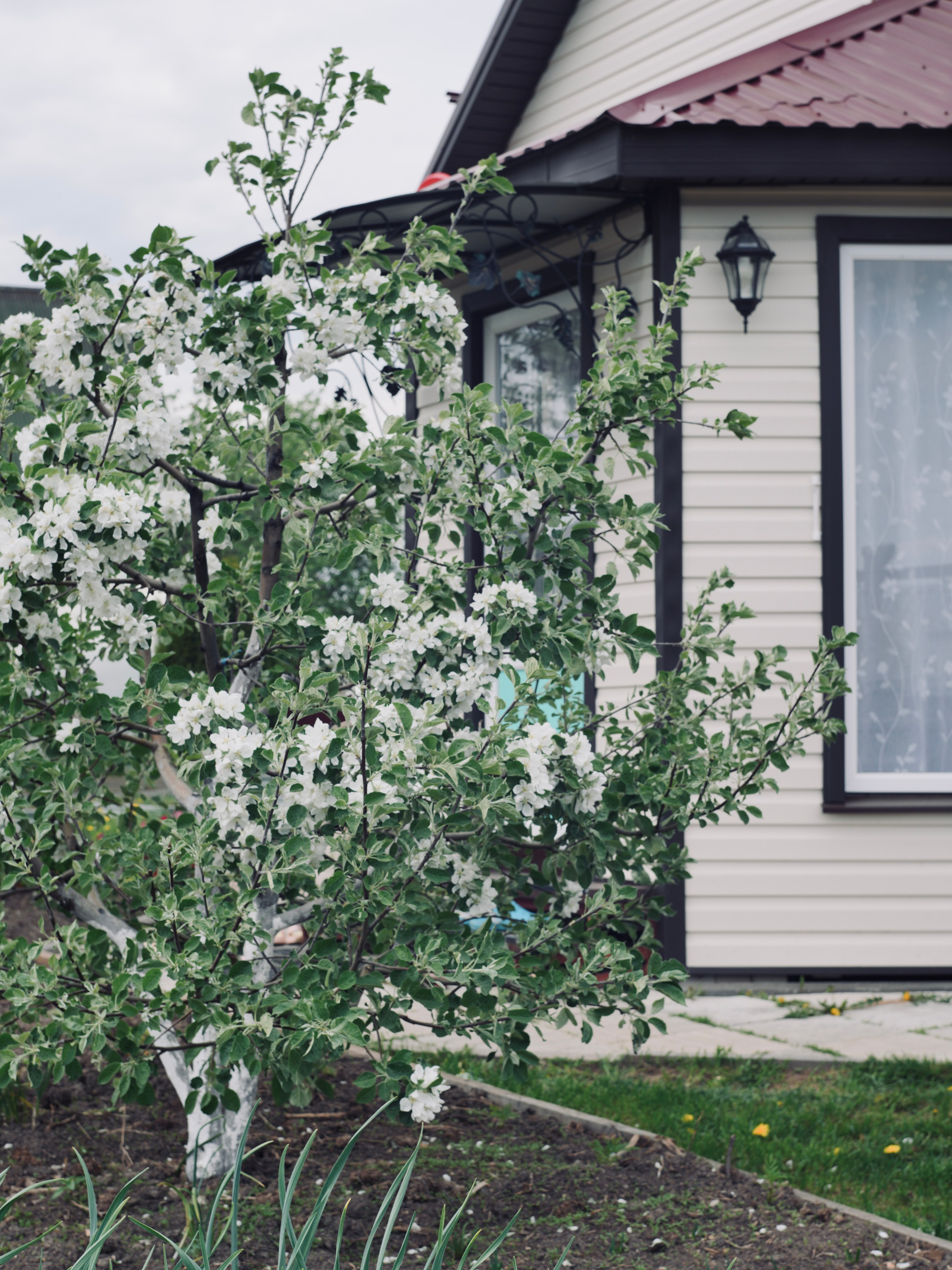 Пространство в цвете. Событийный фотограф в Москве Юлия Папиянц