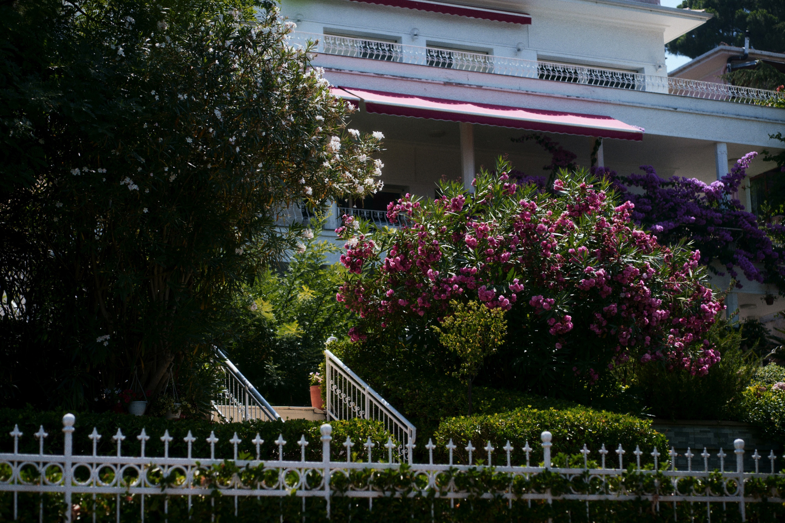 Büyükada х Heybeliada, Istanbul / Türkey SS25. Фотограф Юрин Евгений