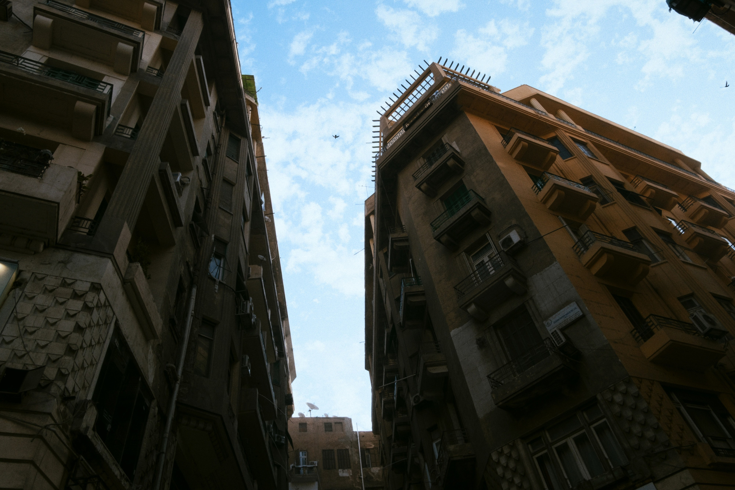 Cairo / Egypt AW25. Фотограф Юрин Евгений