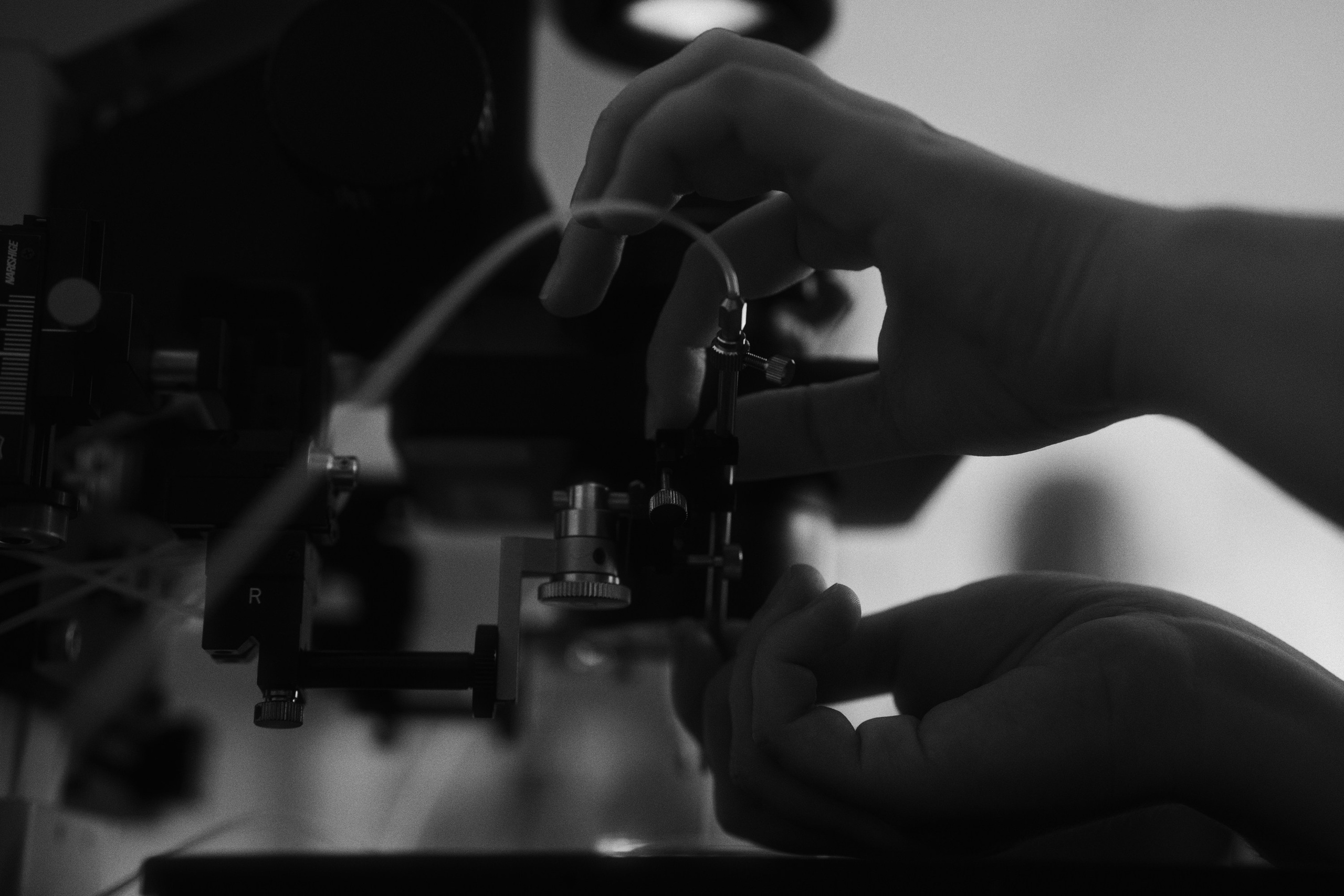 Cl laboratory. Фотограф Юрин Евгений