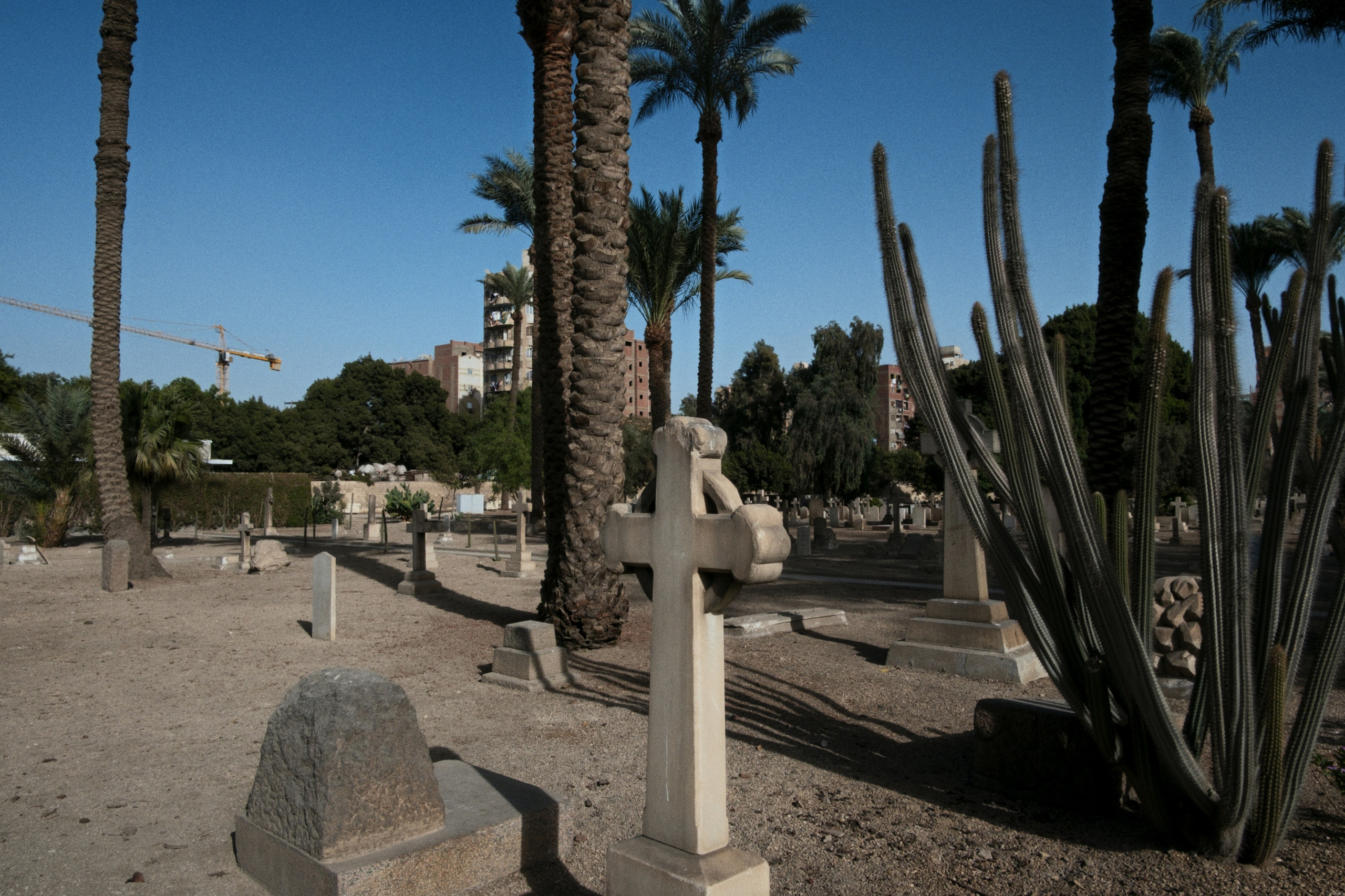 War Memorial Cemetery / Cairo, Egypt AW25. Фотограф Юрин Евгений