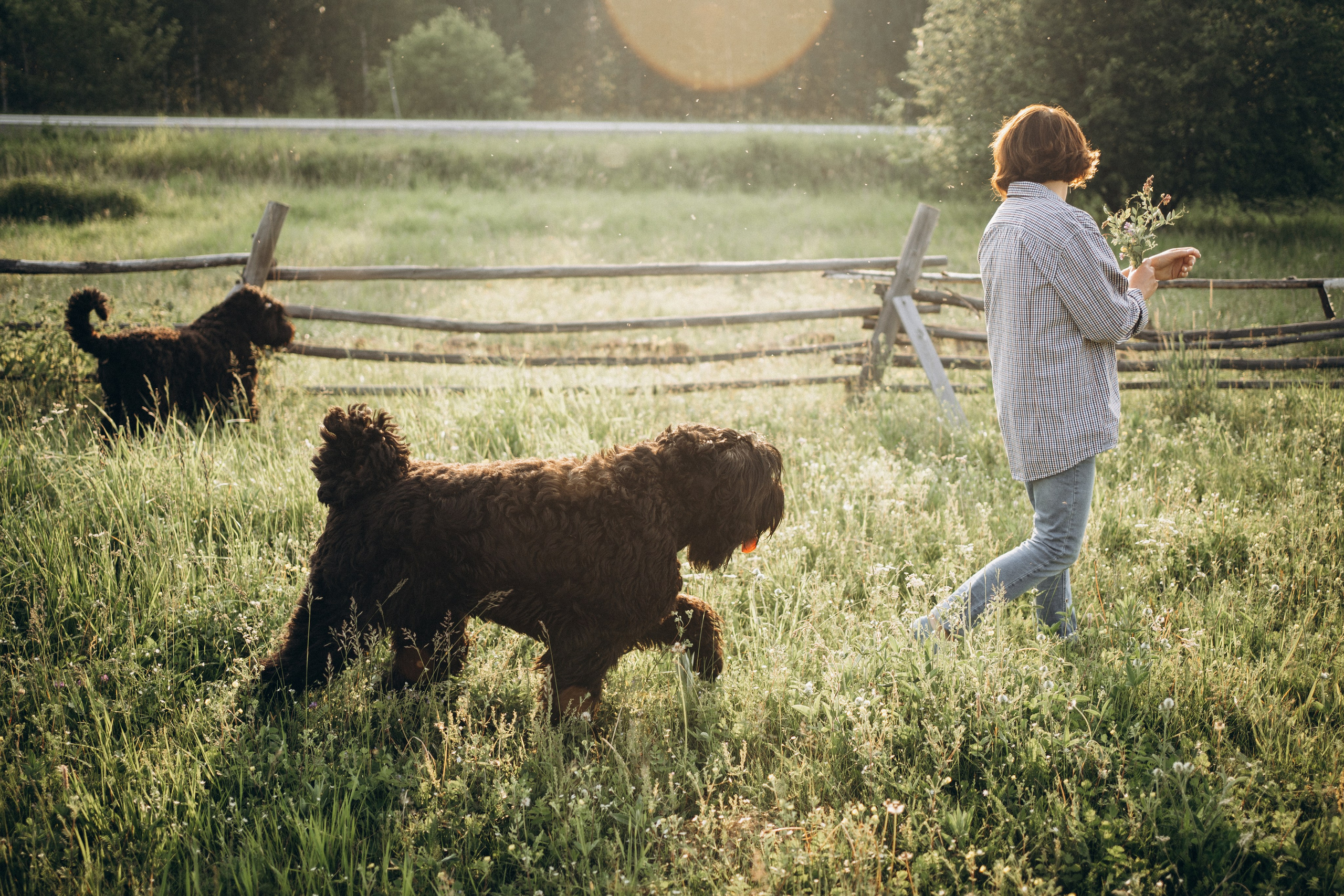 Лариса, Кира и Грэйс. Фотограф-анималист Анастасия Большакова