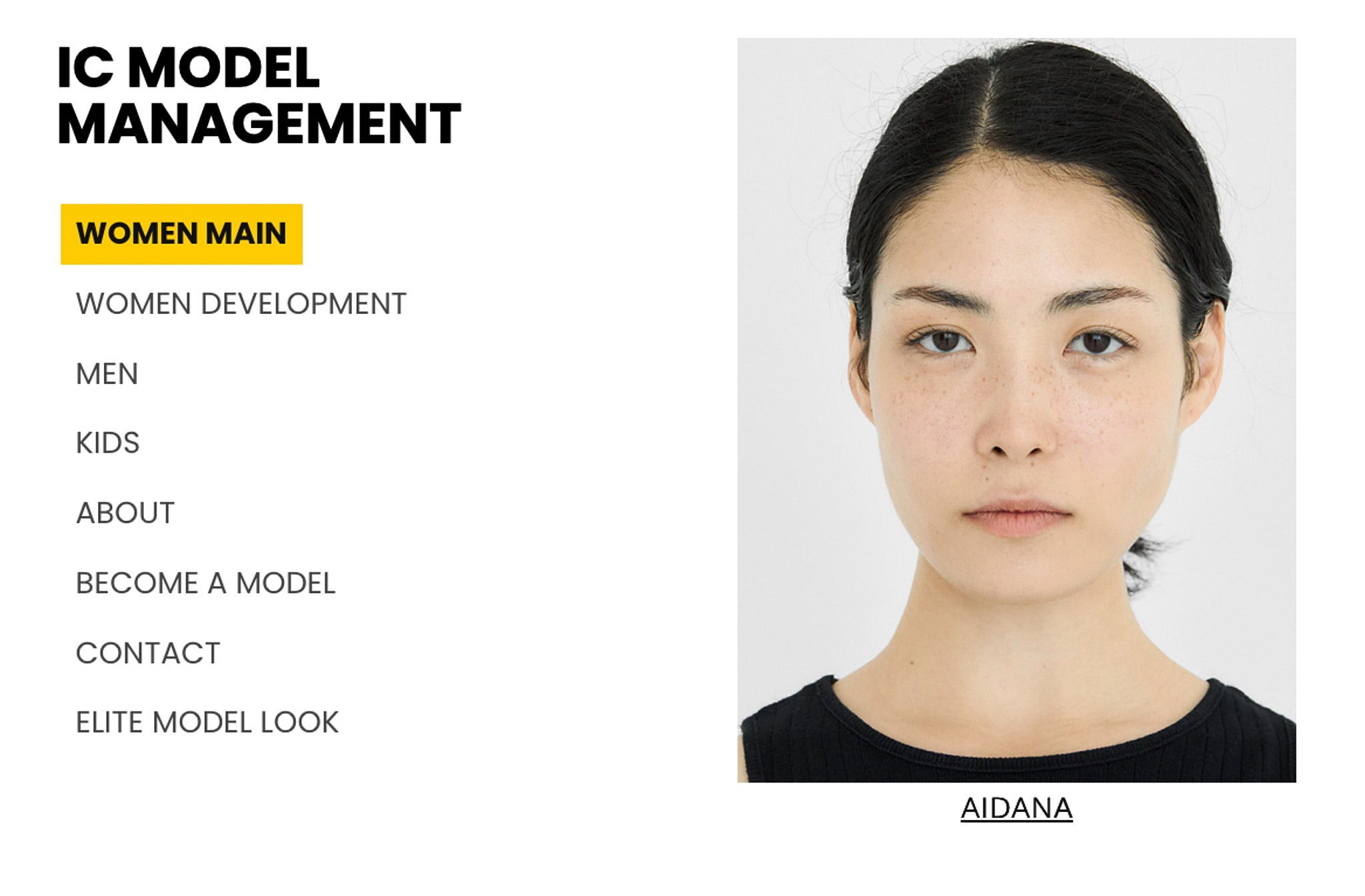 IC Model Management