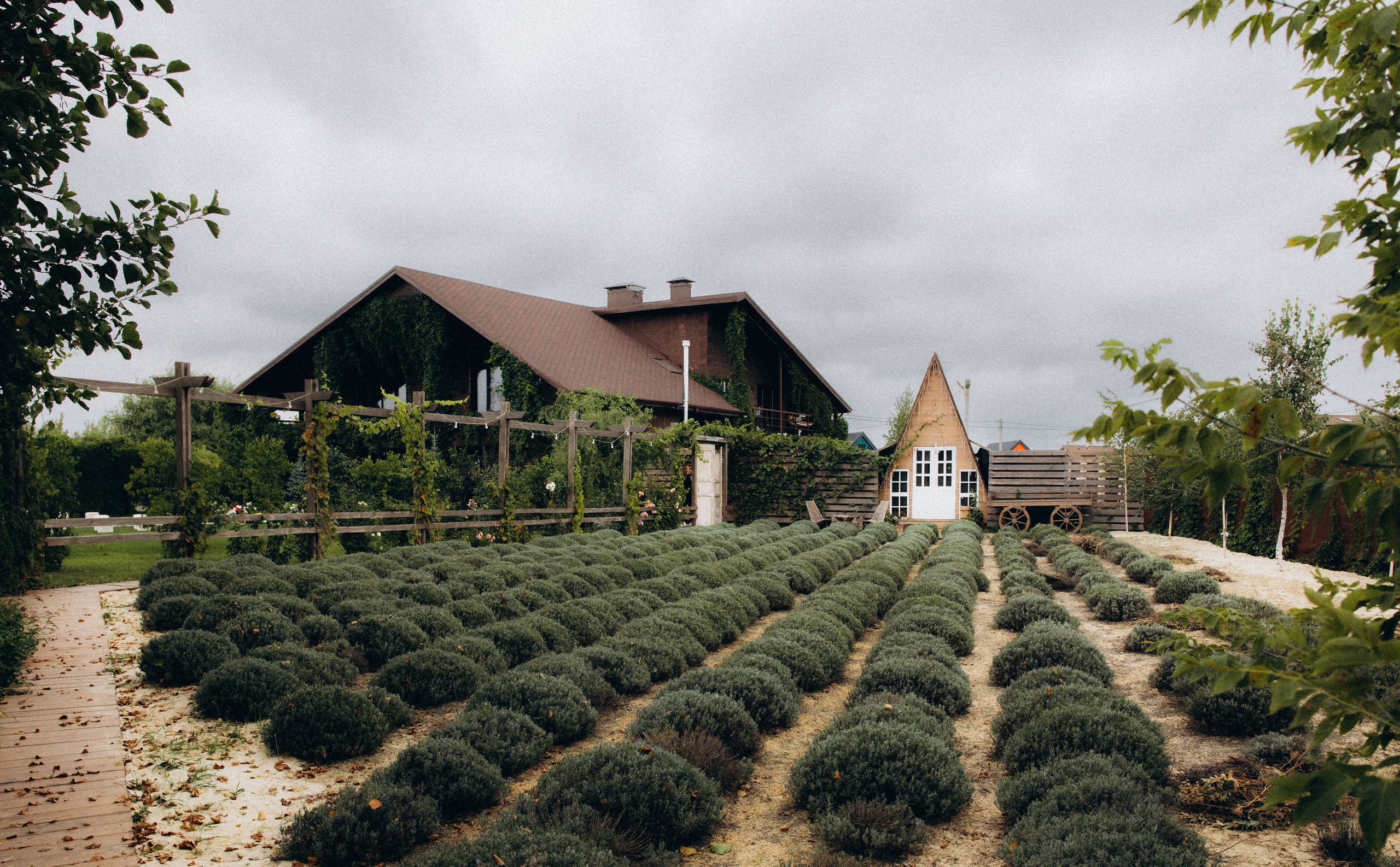 Алена и Антон. Алена Бадамшина — свадебный фотограф Воронеж / Москва