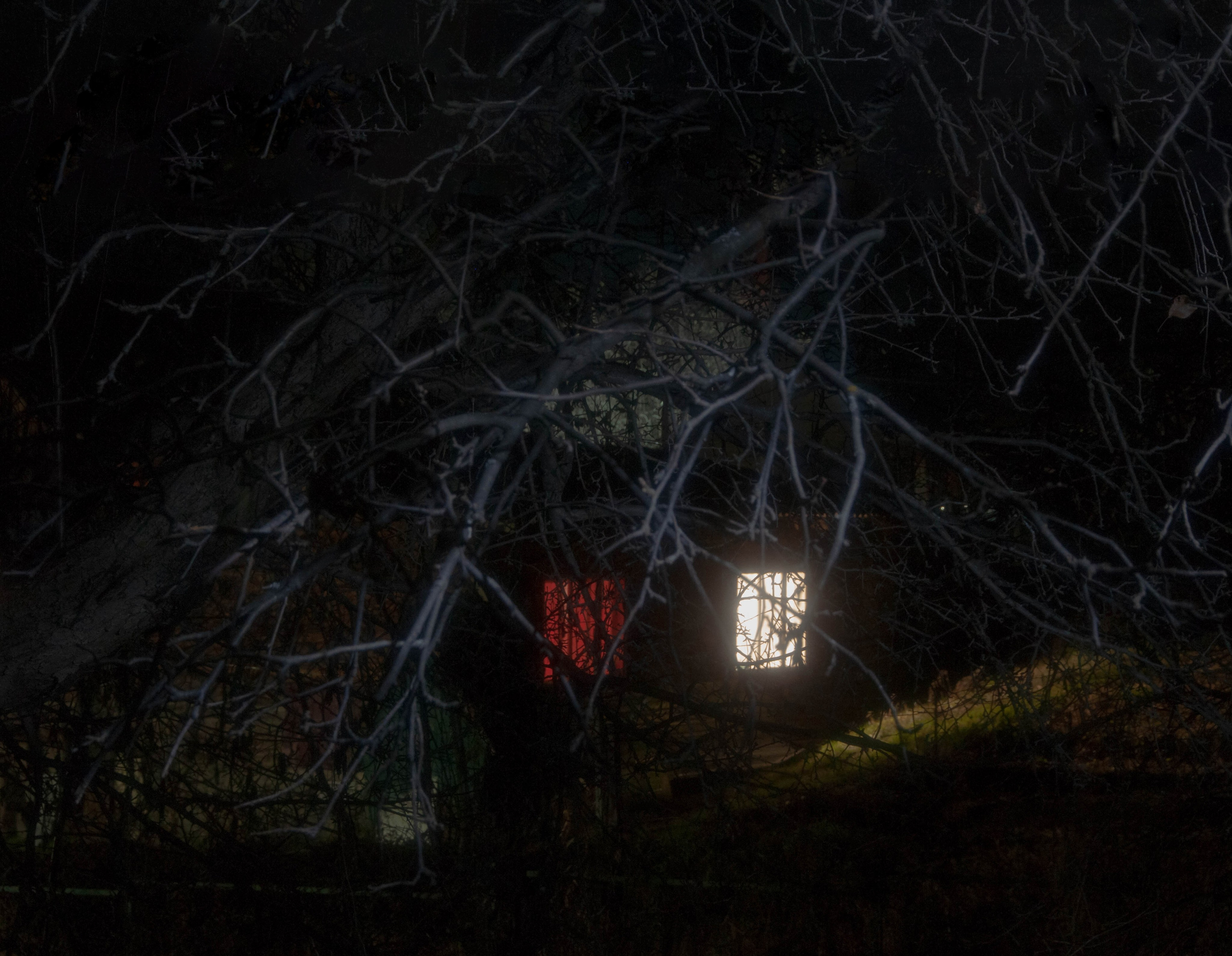 Творческие фотографии. Портретный фотограф в республике Алтай Юлия Шевченко