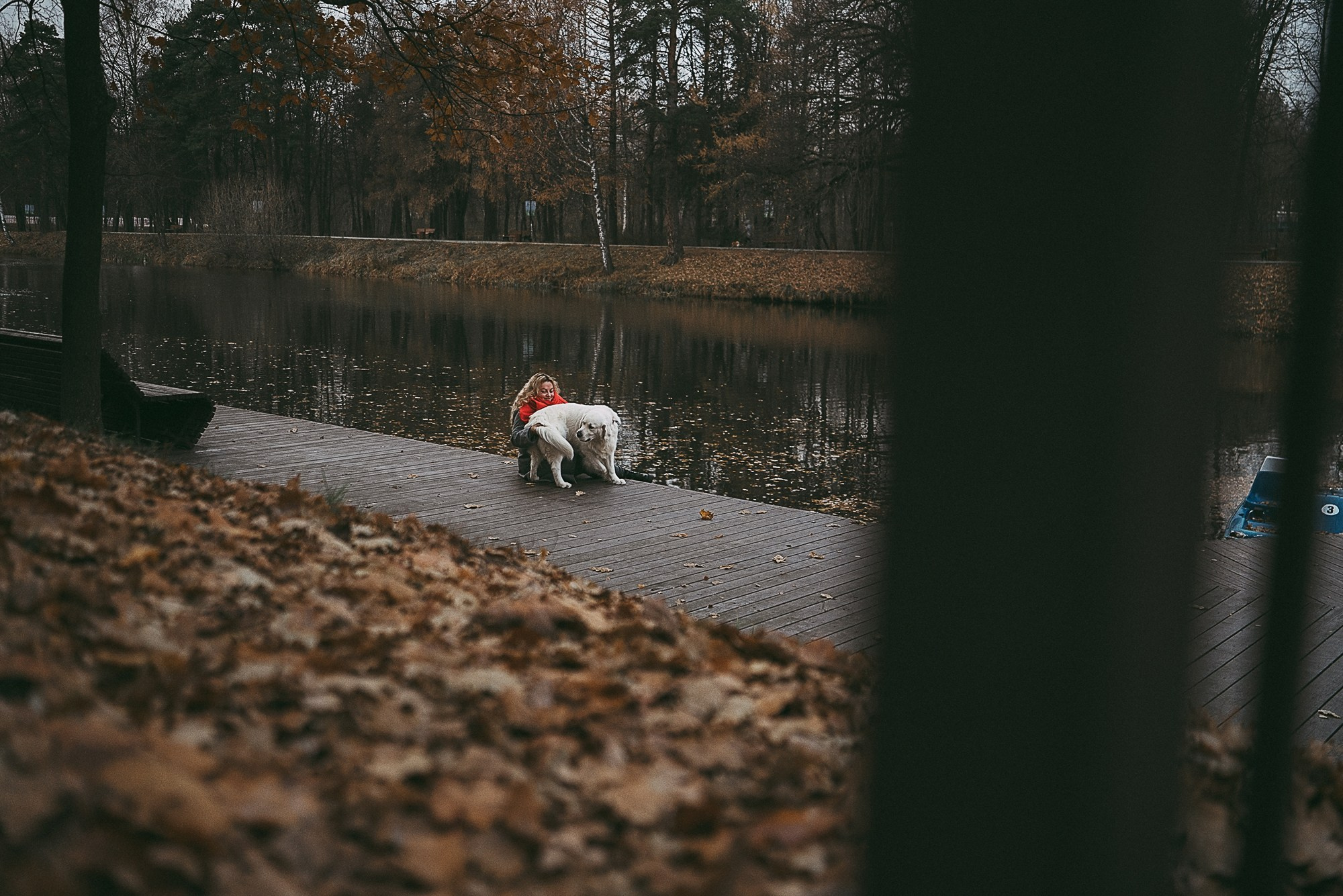Лена и Мерлин. Фотограф анималист в Москве и Санкт-Петербурге Свиридова Анна