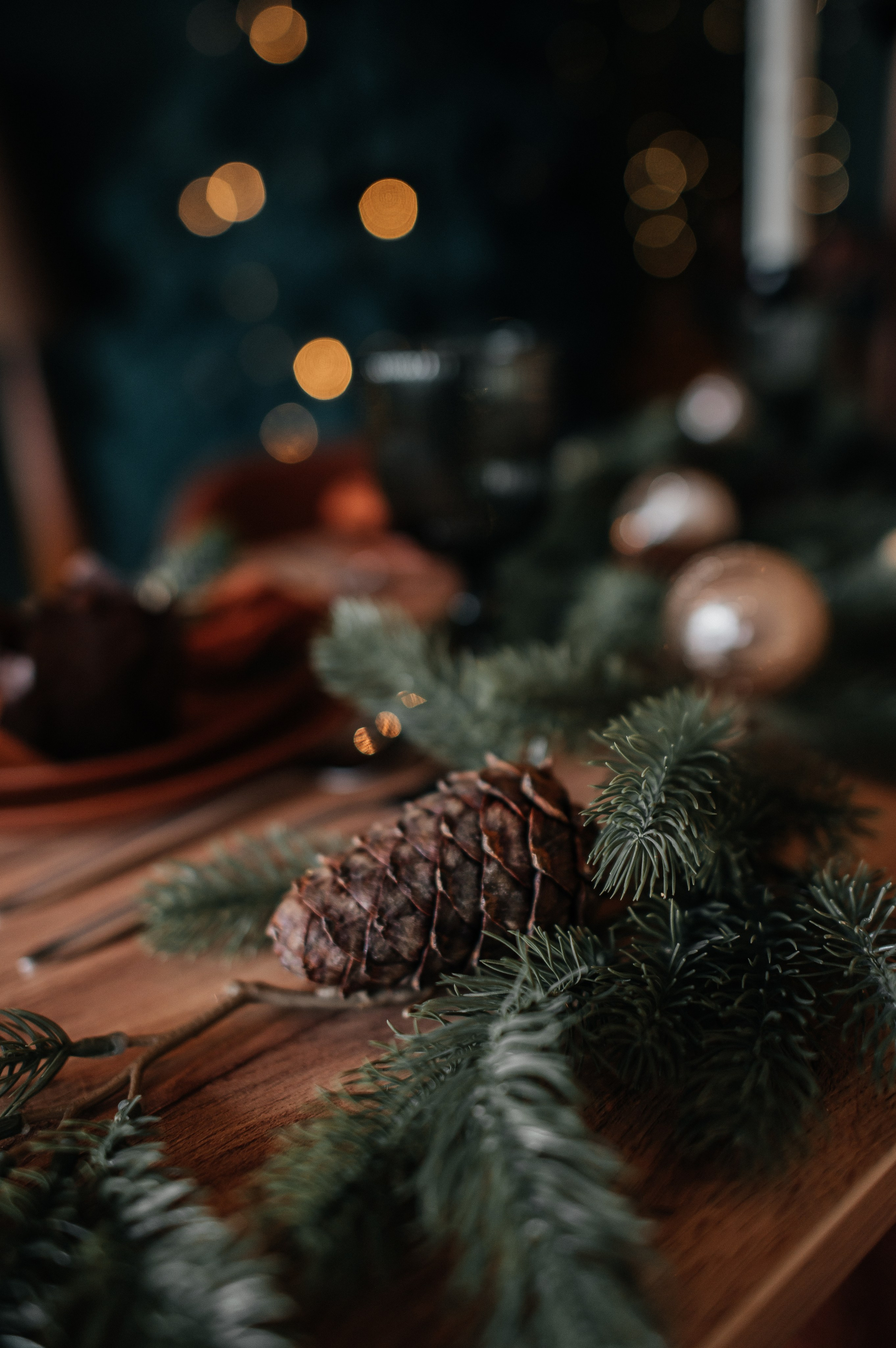 Look. Свадебный фотограф в новокузнецке